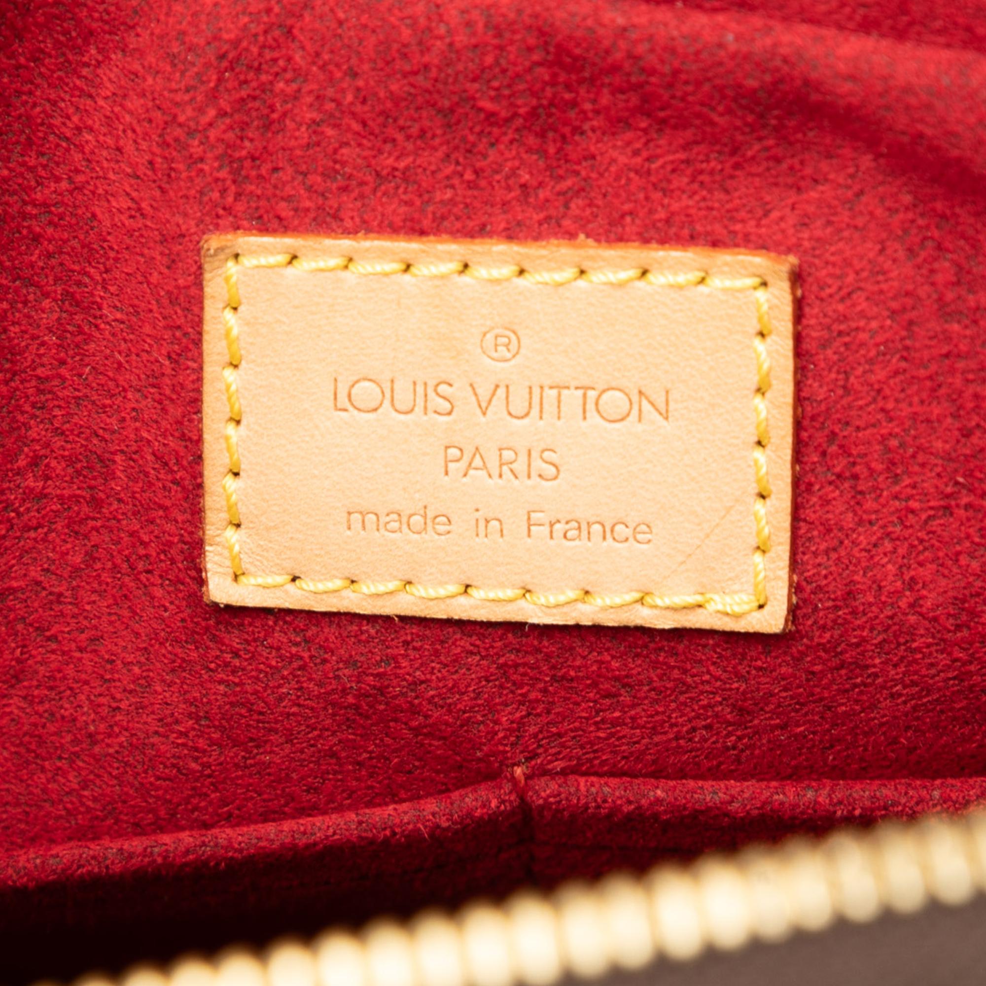 Louis Vuitton Monogram Multipli Cite
