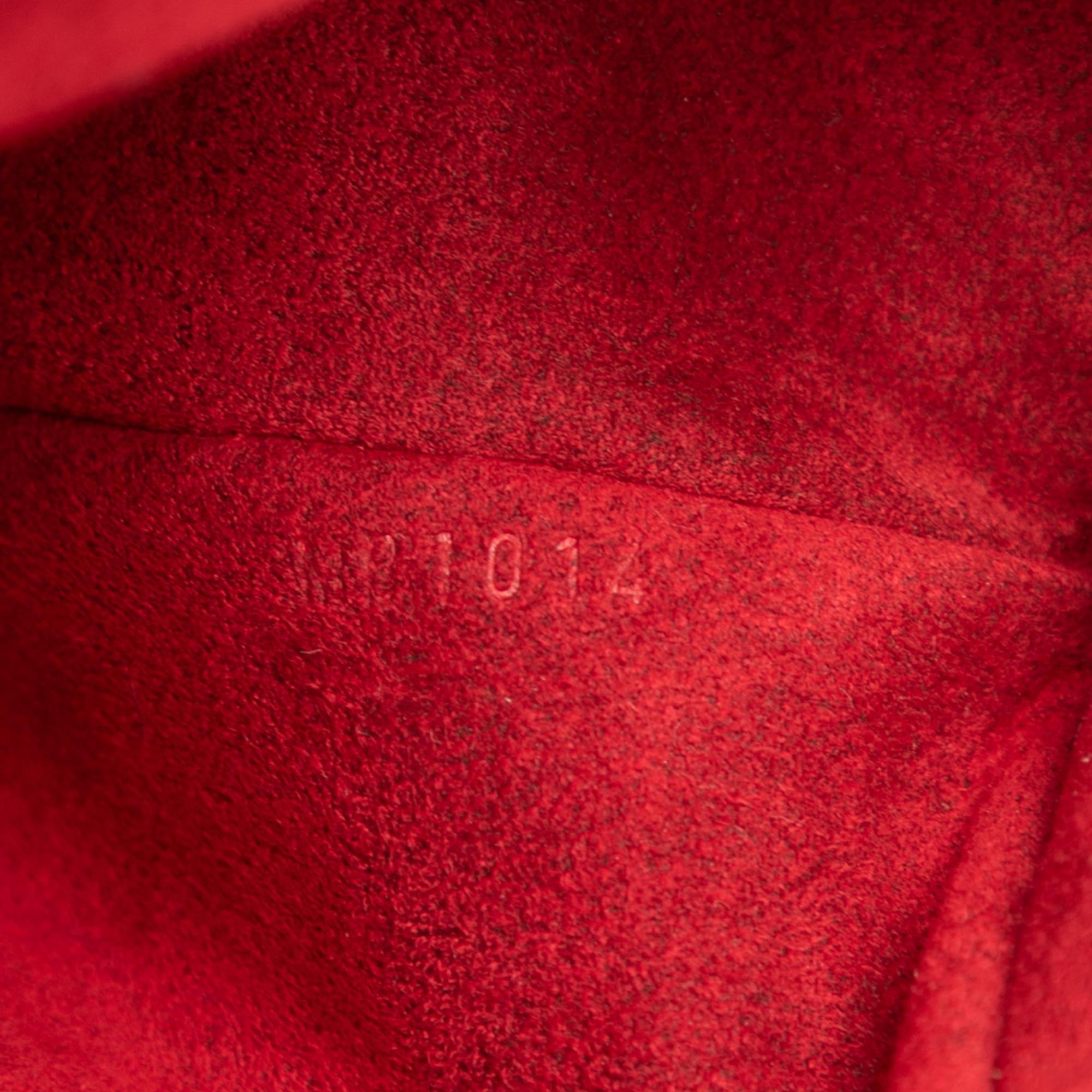 Louis Vuitton Monogram Multipli Cite