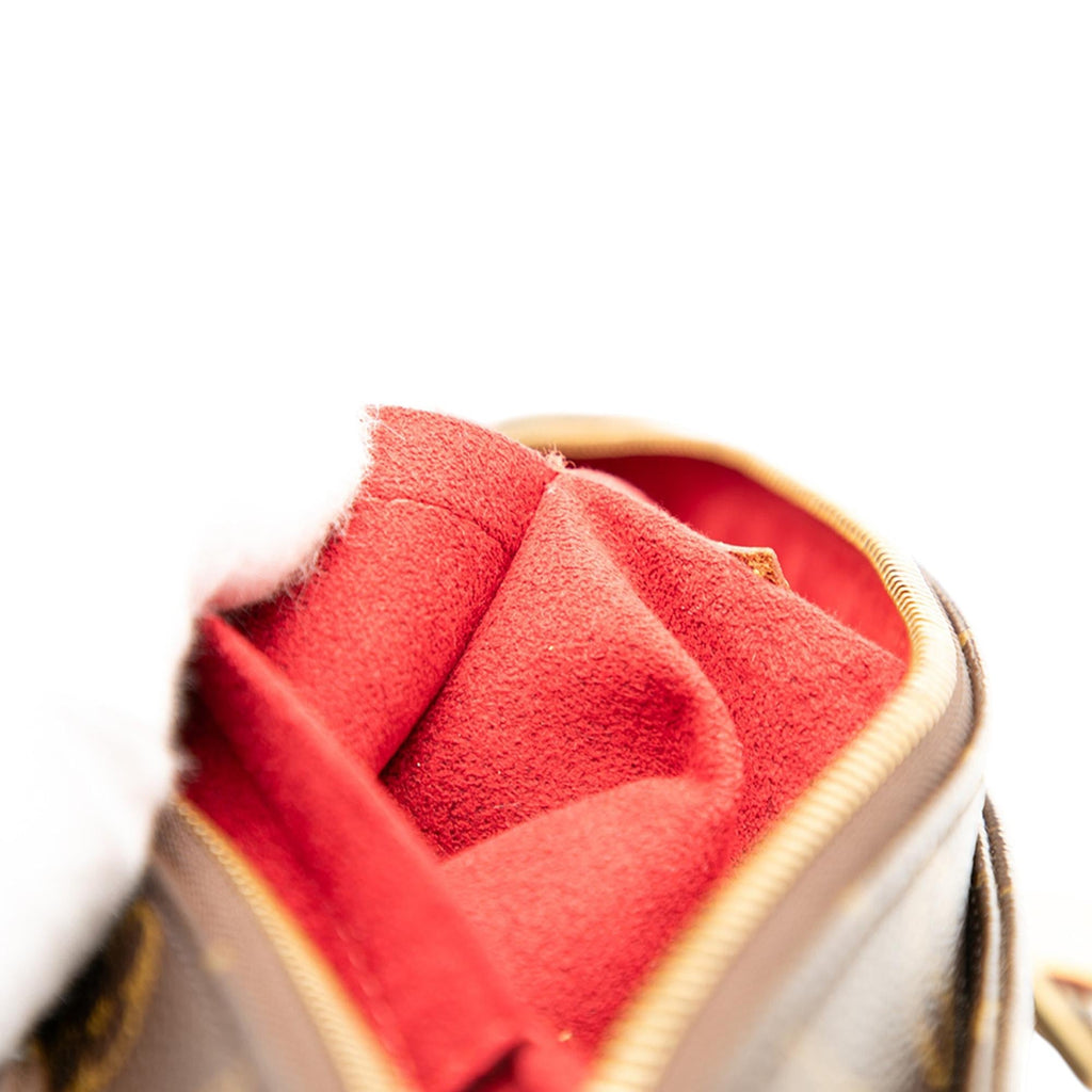 Louis Vuitton Monogram Multipli Cite
