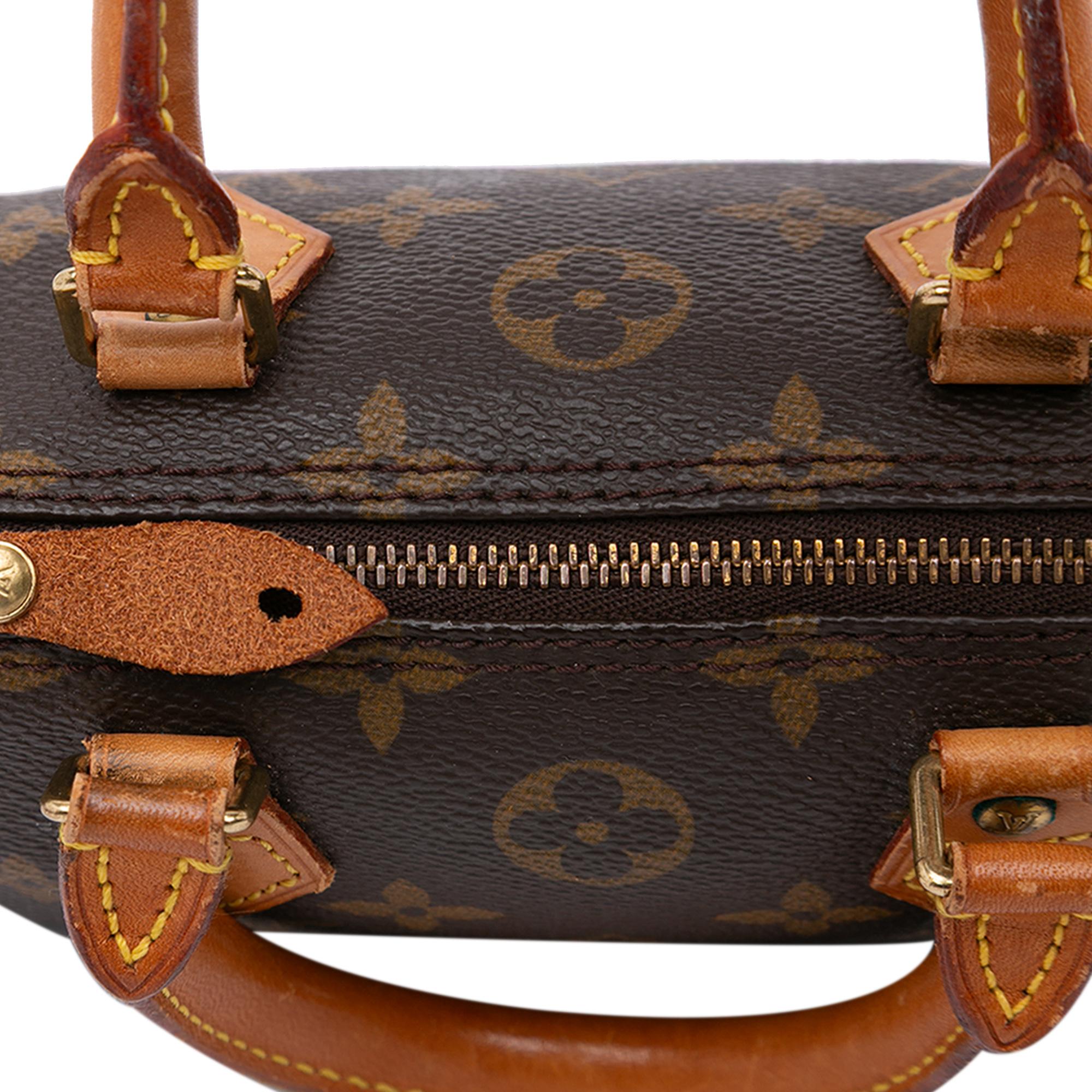 Louis Vuitton Monogram Nano Speedy Bandouliere