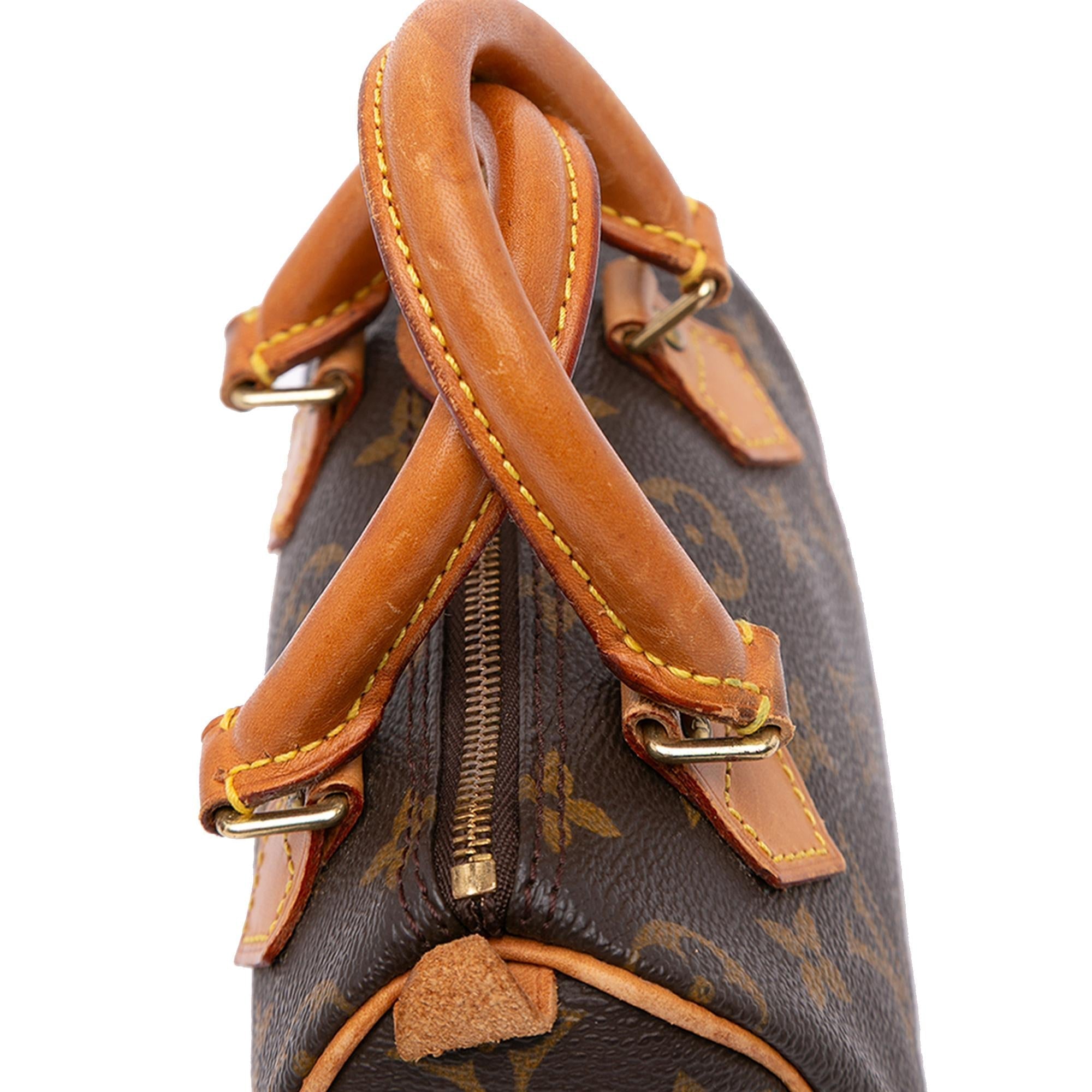 Louis Vuitton Monogram Nano Speedy Bandouliere