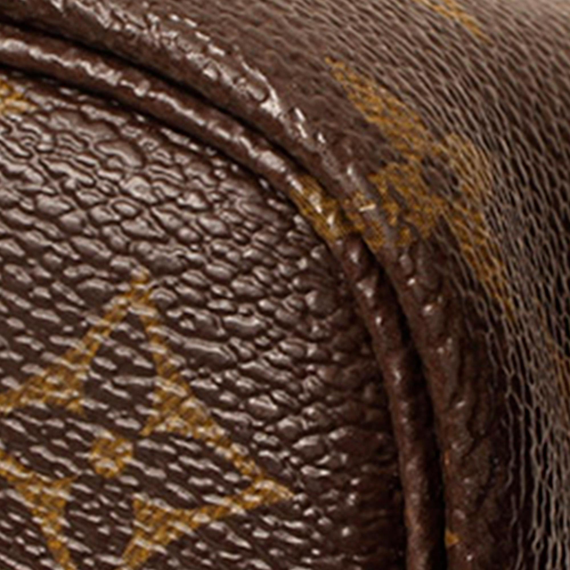 Louis Vuitton Monogram Neverfull PM (SHG-EWmTo5)