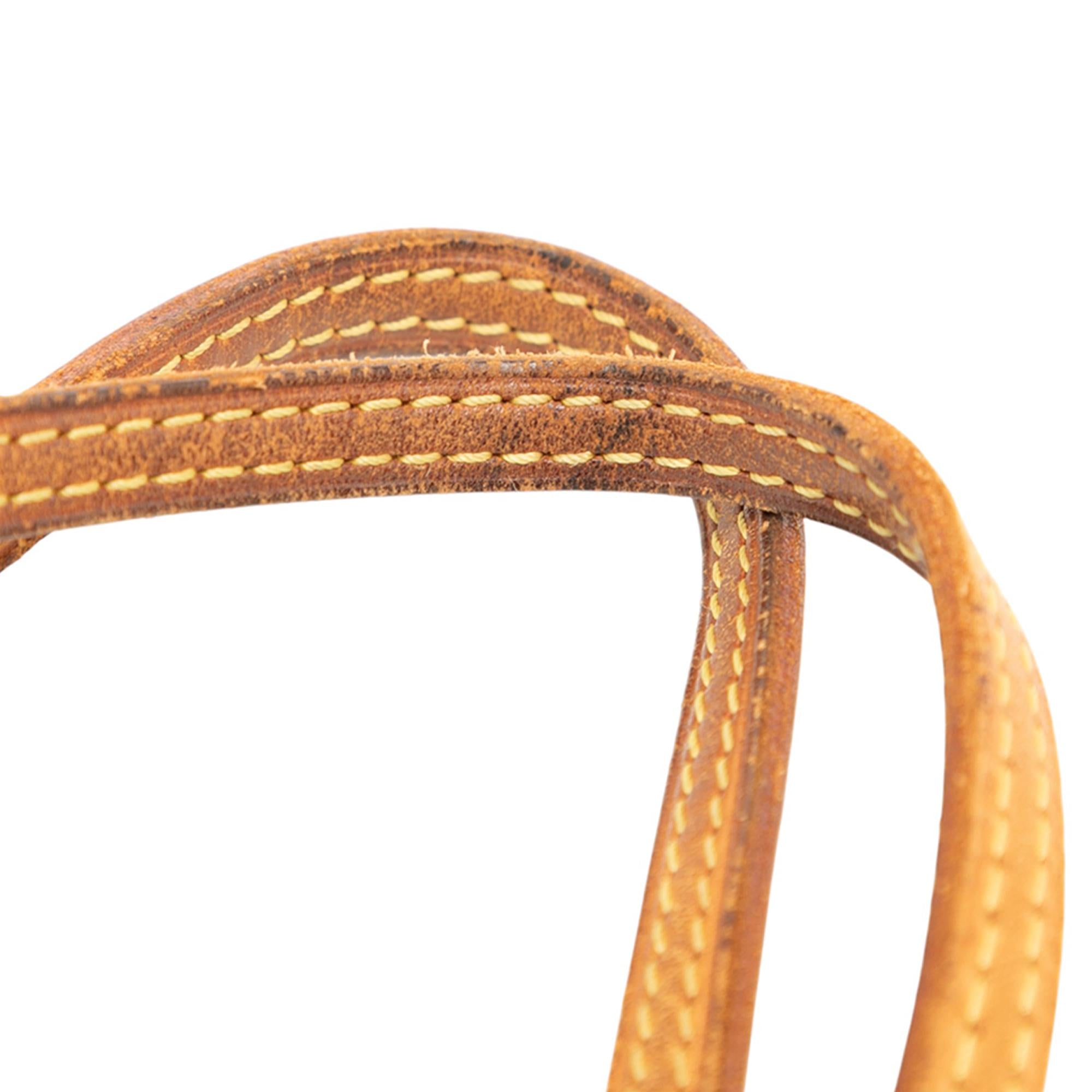 Louis Vuitton Monogram Neverfull PM