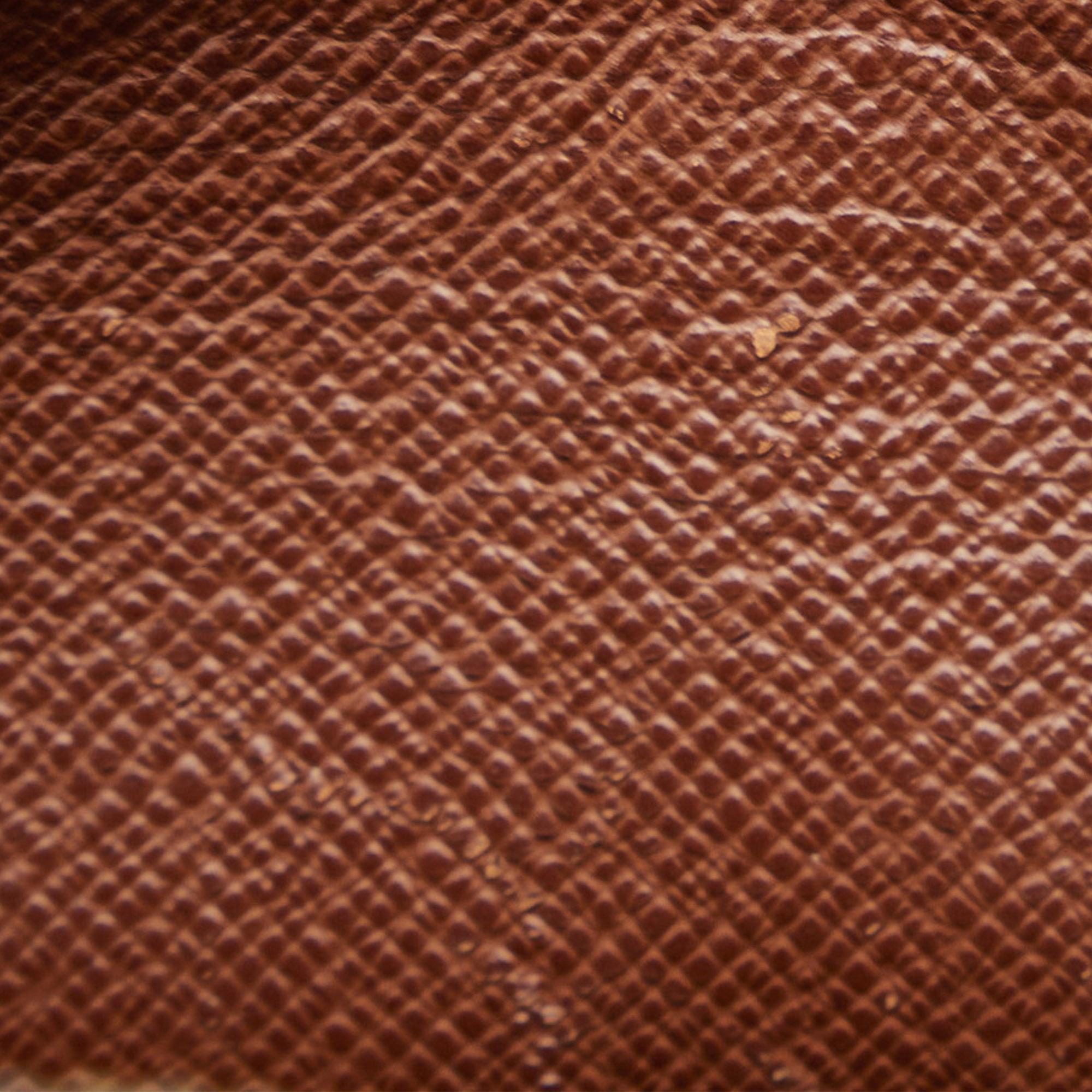 Louis Vuitton Monogram Nile (SHG-WSeZMS)