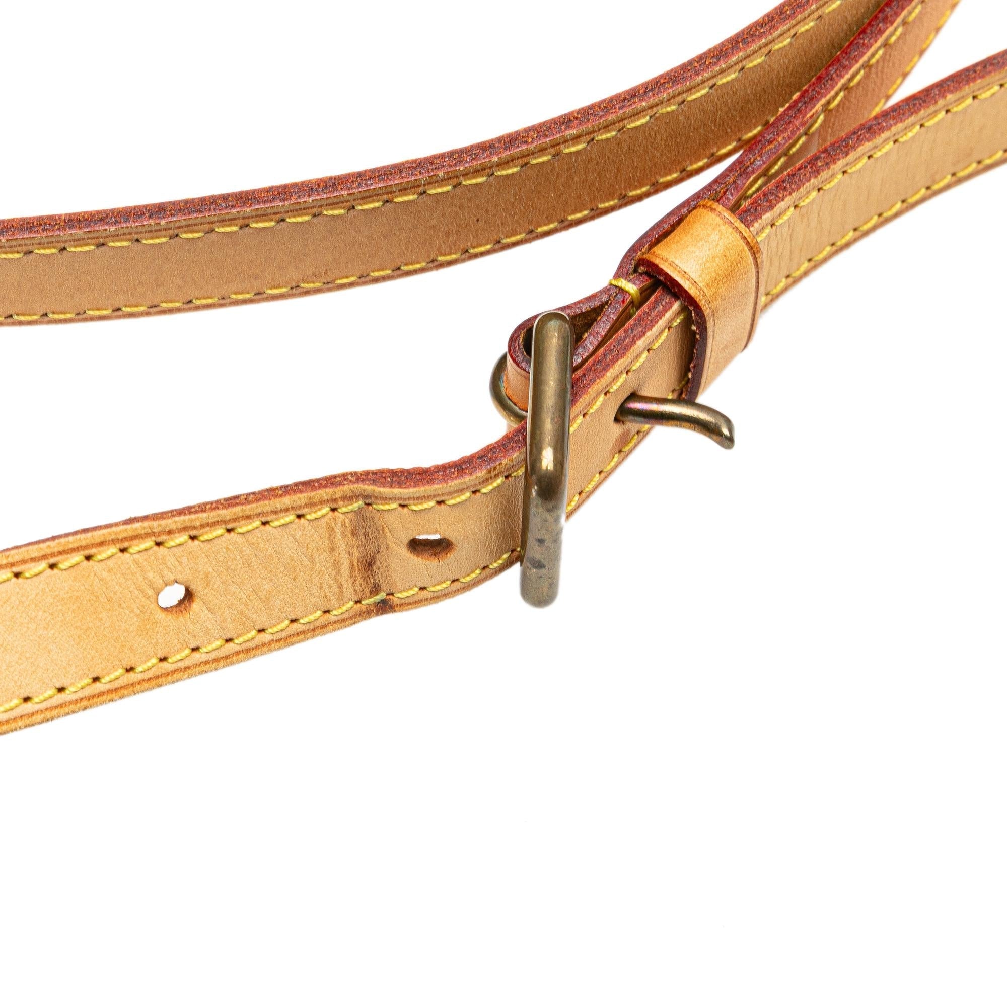 Louis Vuitton Monogram Odeon PM
