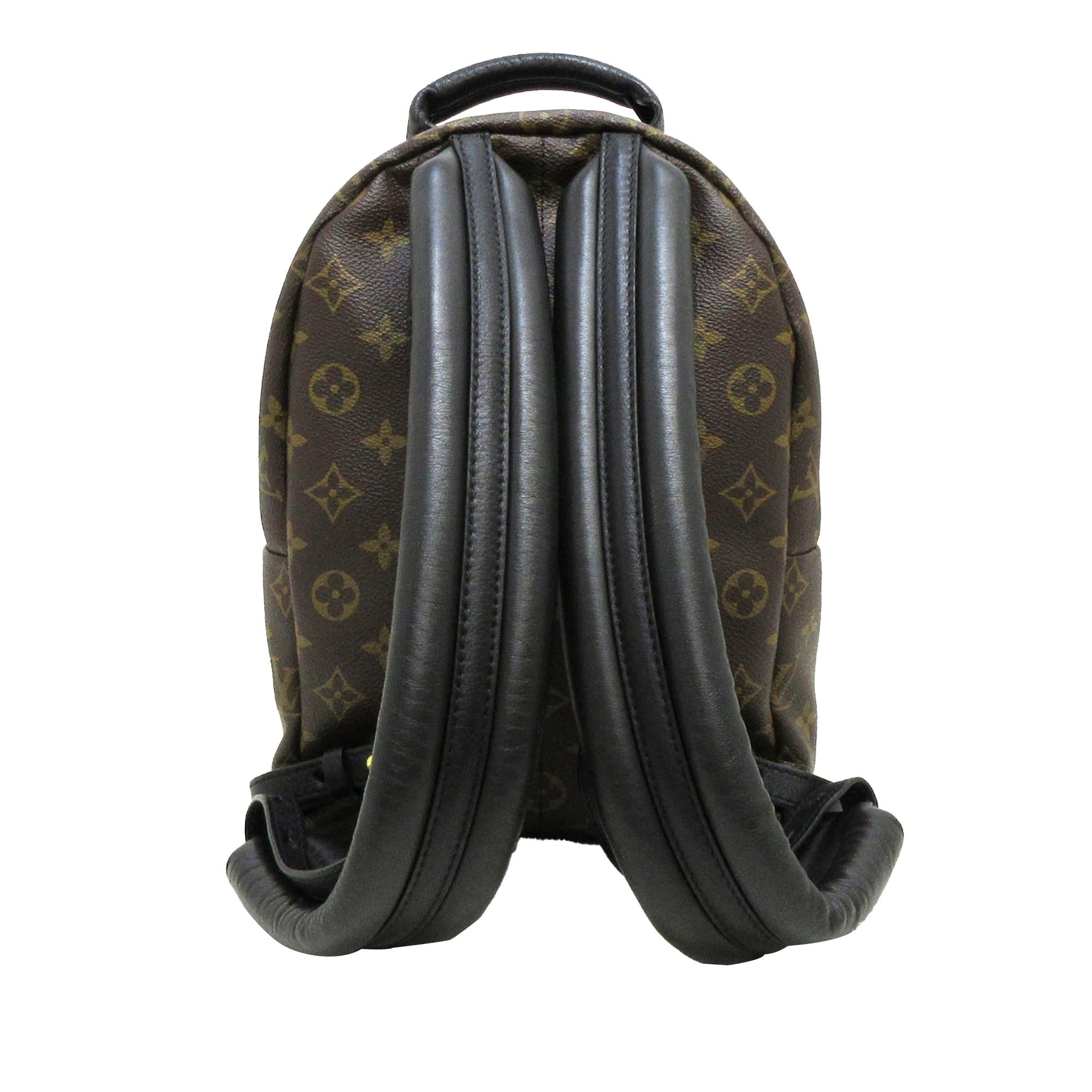 Louis Vuitton Monogram Palm Springs PM (SHG-Nyf1CL)