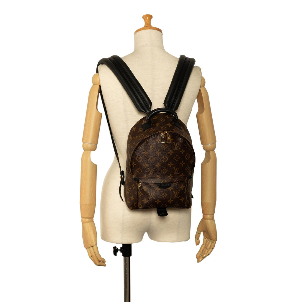 Louis Vuitton Monogram Palm Springs PM (SHG-vBRkVx)