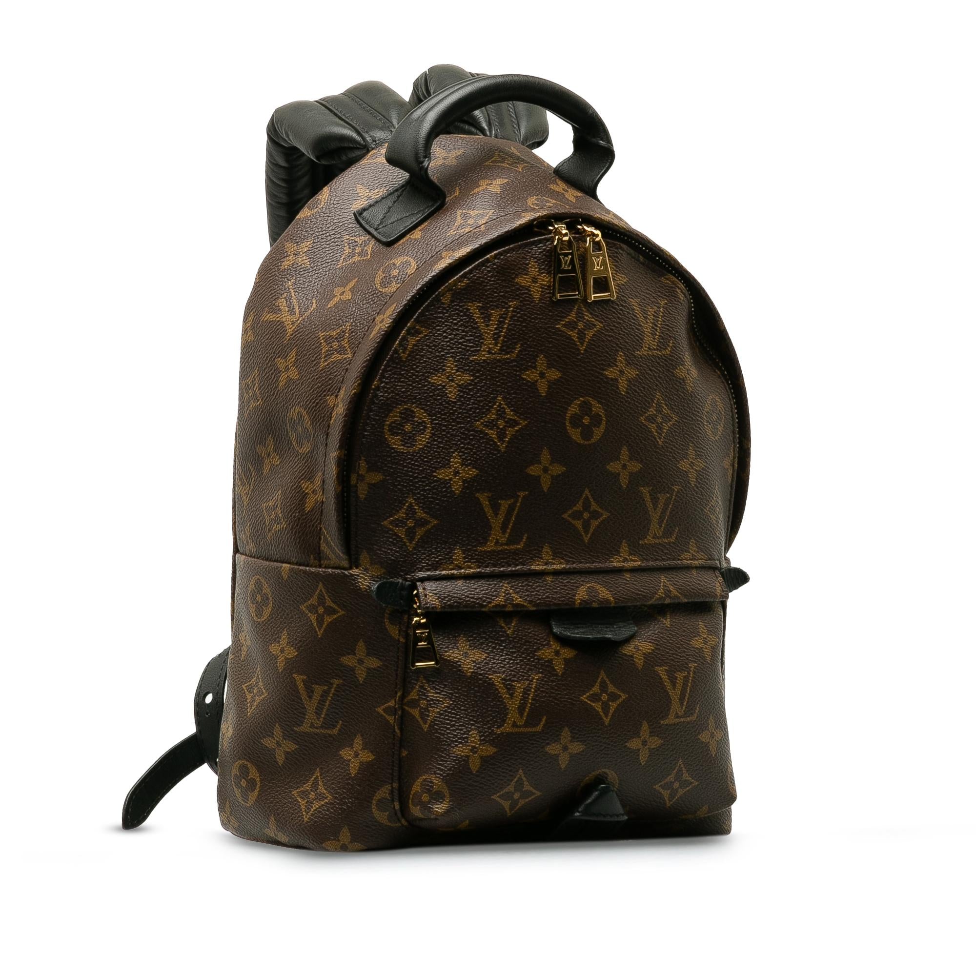 Louis Vuitton Monogram Palm Springs PM (SHG-vBRkVx)