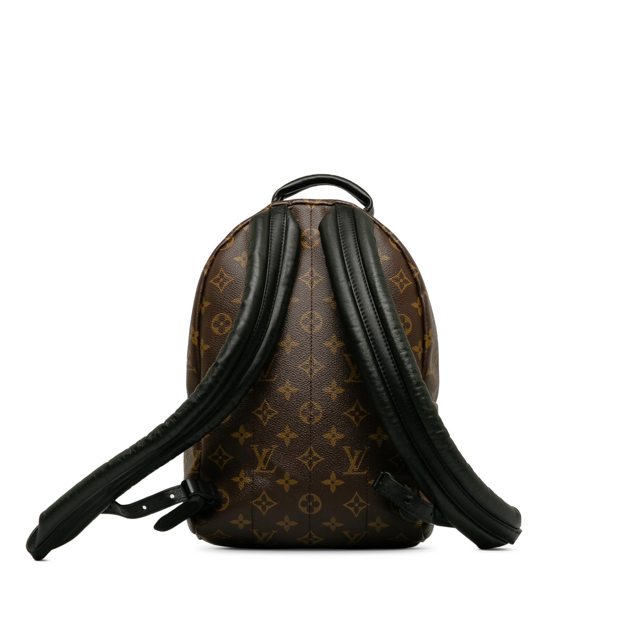 Louis Vuitton Monogram Palm Springs PM (SHG-Ogwvrd)