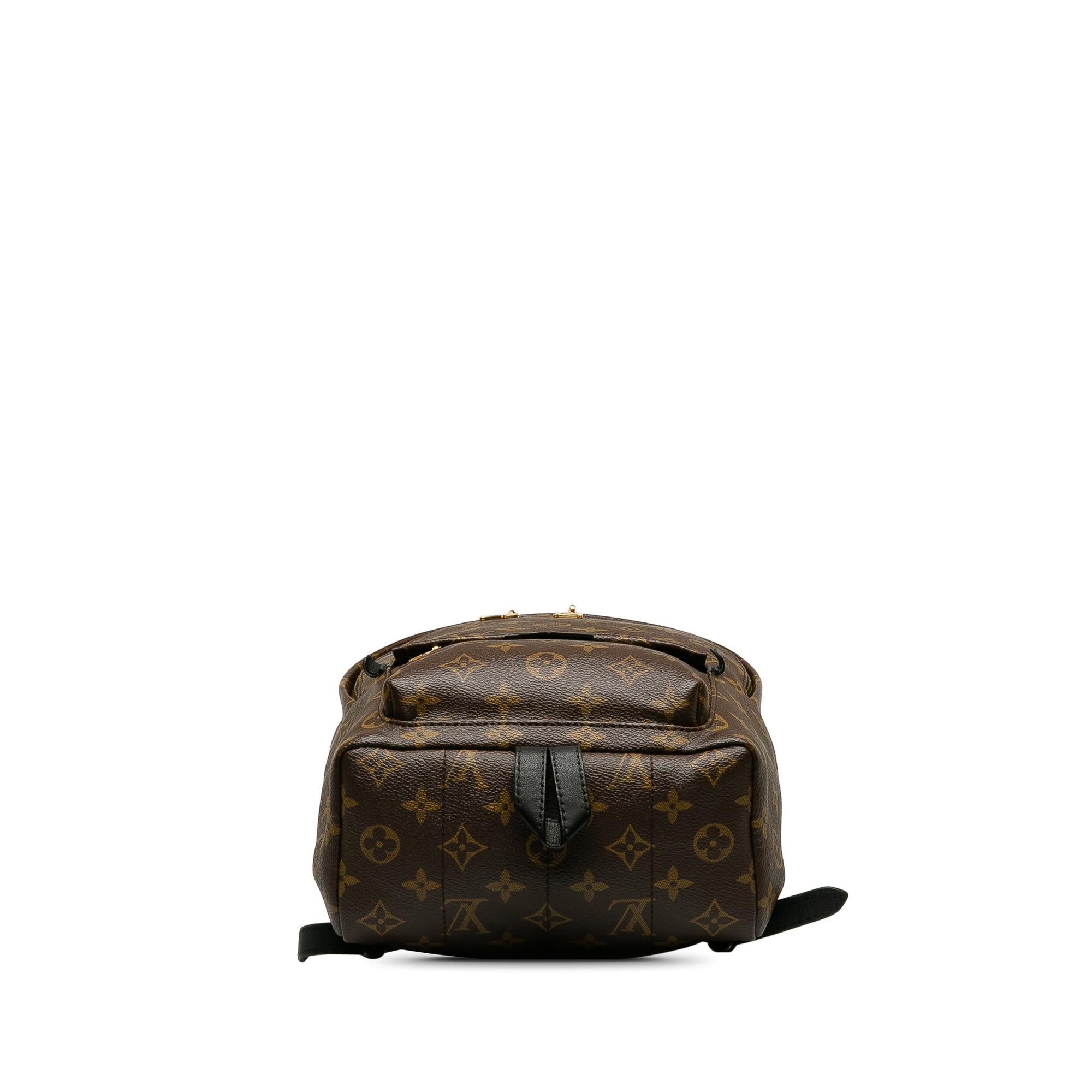Louis Vuitton Monogram Palm Springs PM (SHG-Ogwvrd)
