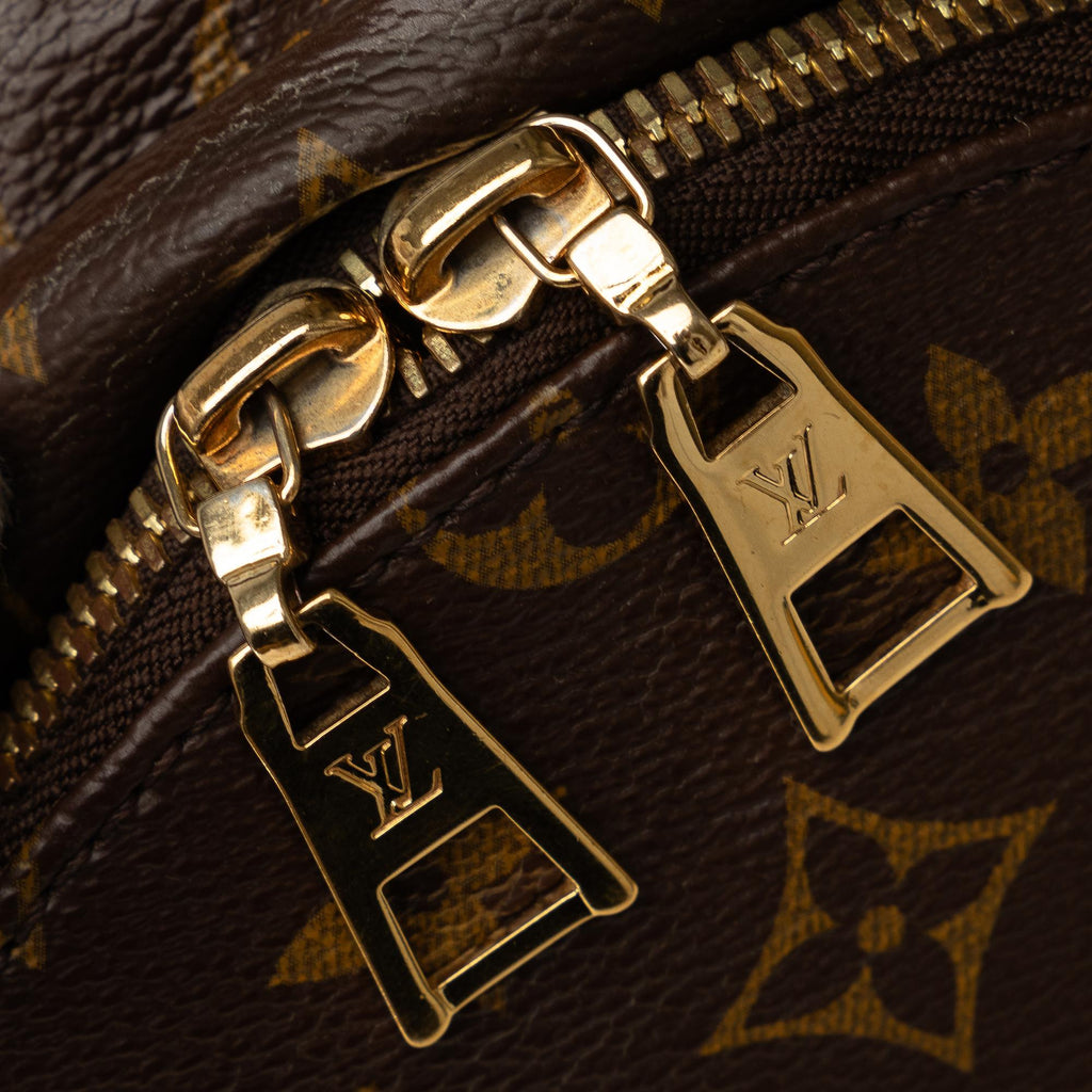 Louis Vuitton Monogram Palm Springs PM (SHG-Ogwvrd)
