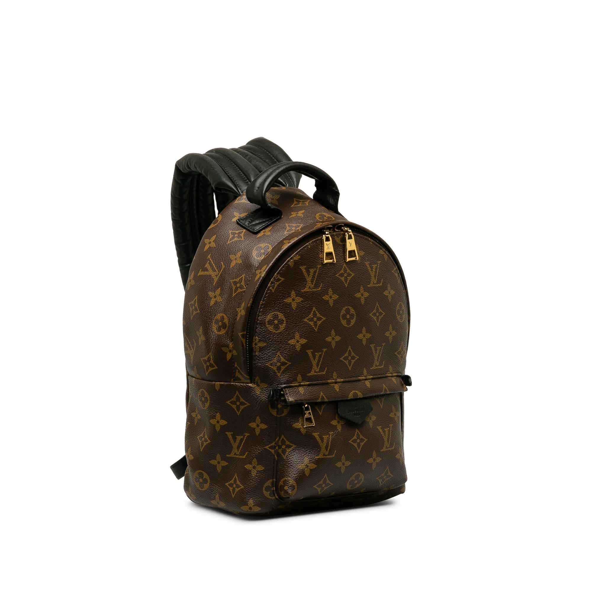 Louis Vuitton Monogram Palm Springs PM (SHG-Ogwvrd)