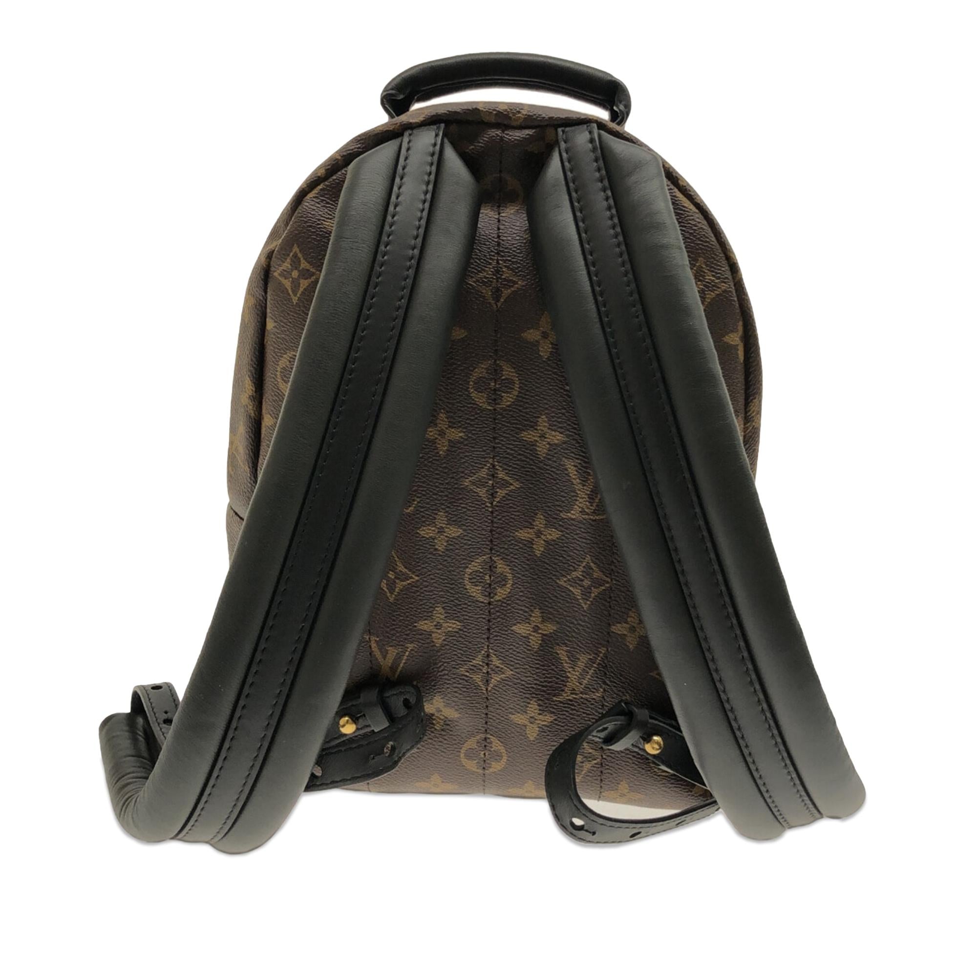 Louis Vuitton Monogram Palm Springs PM (SHG-i21aYX)