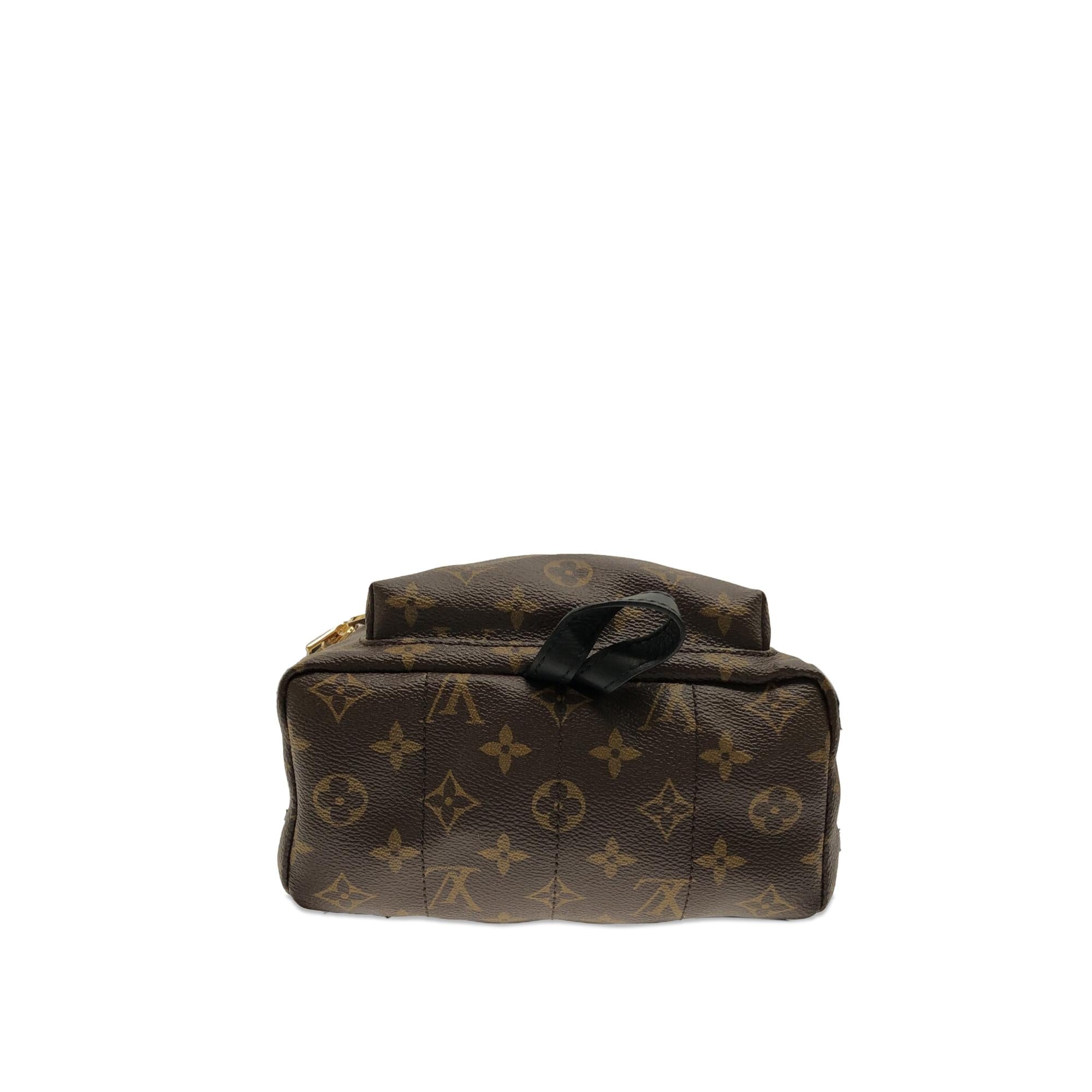 Louis Vuitton Monogram Palm Springs PM (SHG-i21aYX)