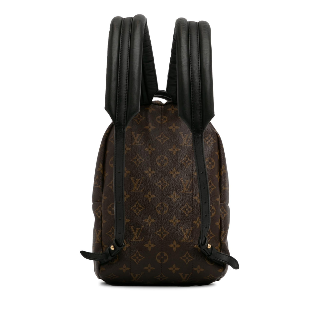 Louis Vuitton Monogram Palm Springs PM (SHG-t4LKWY)