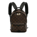 Louis Vuitton Monogram Palm Springs PM (SHG-t4LKWY)