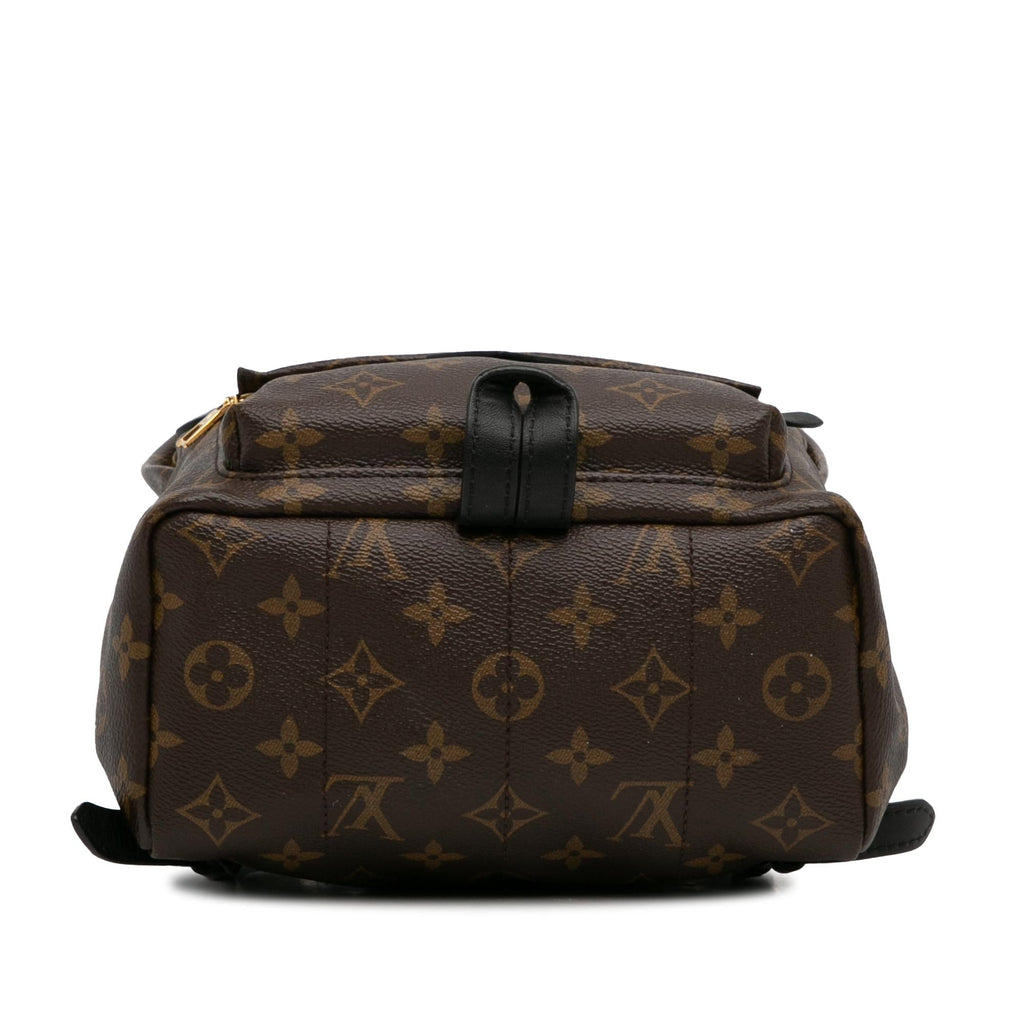 Louis Vuitton Monogram Palm Springs PM (SHG-t4LKWY)
