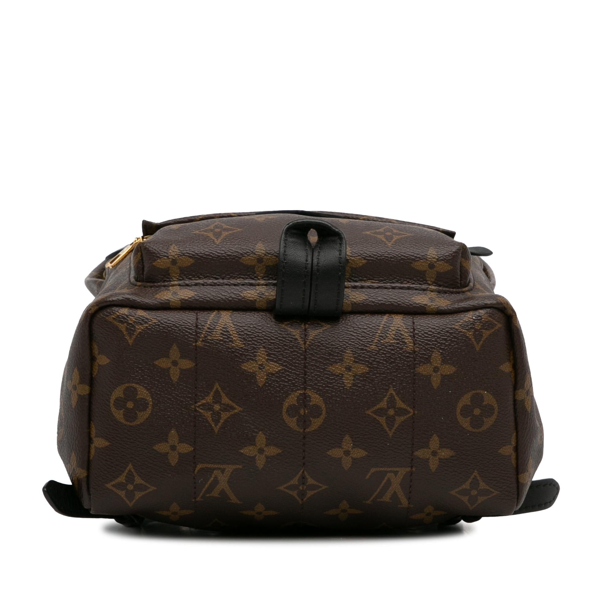 Louis Vuitton Monogram Palm Springs PM (SHG-t4LKWY)