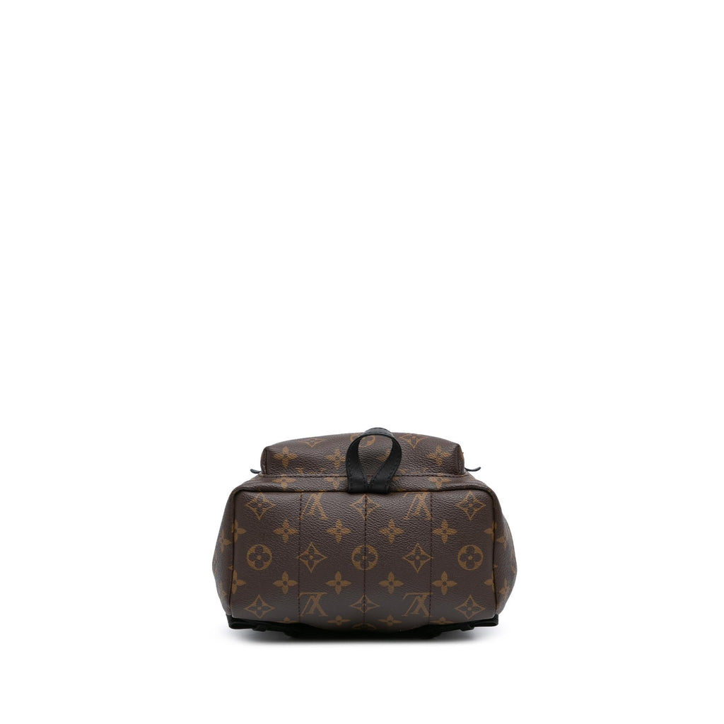 Louis Vuitton Monogram Palm Springs PM (SHG-VyZgca)