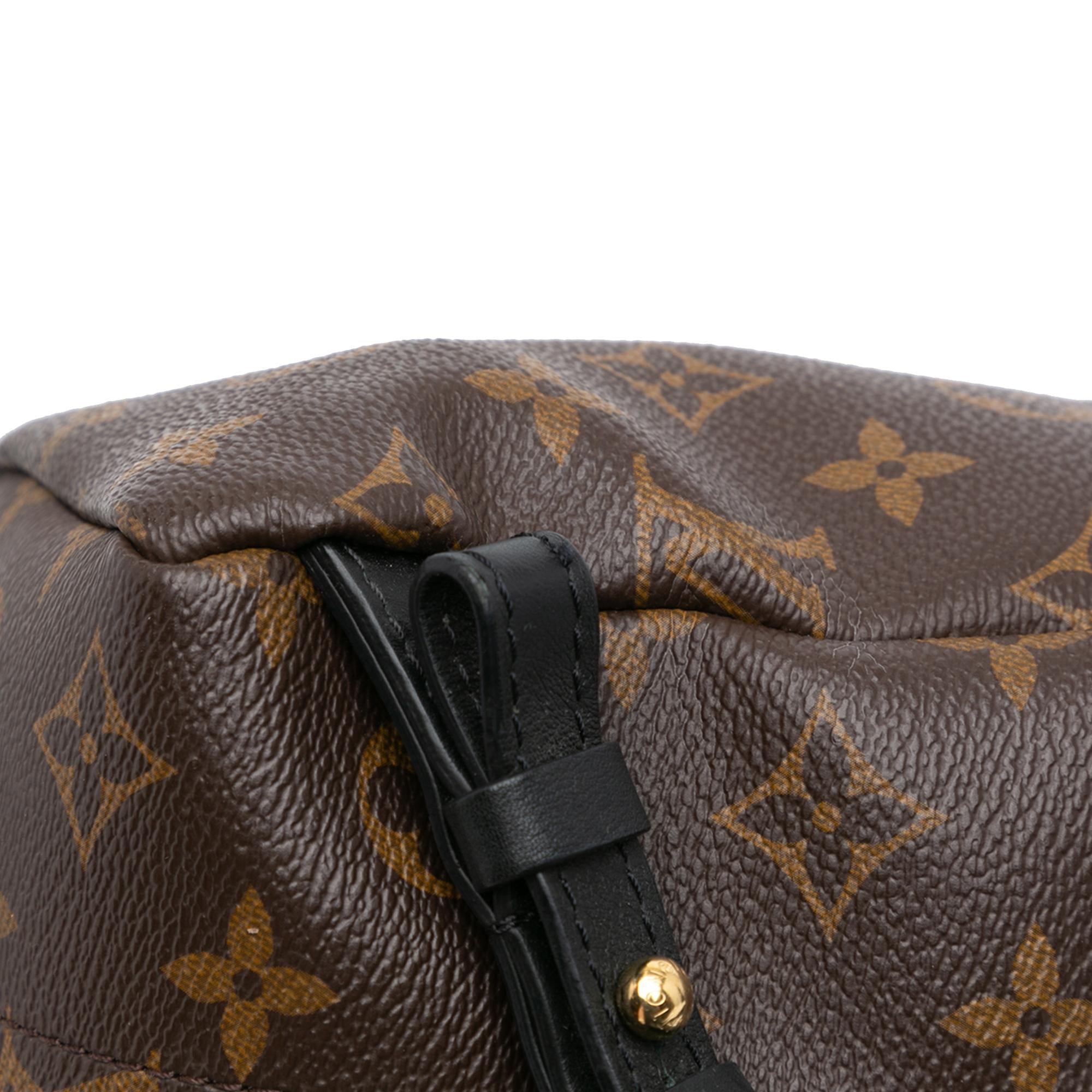 Louis Vuitton Monogram Palm Springs PM (SHG-VyZgca)