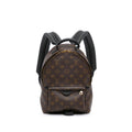 Louis Vuitton Monogram Palm Springs PM (SHG-VyZgca)