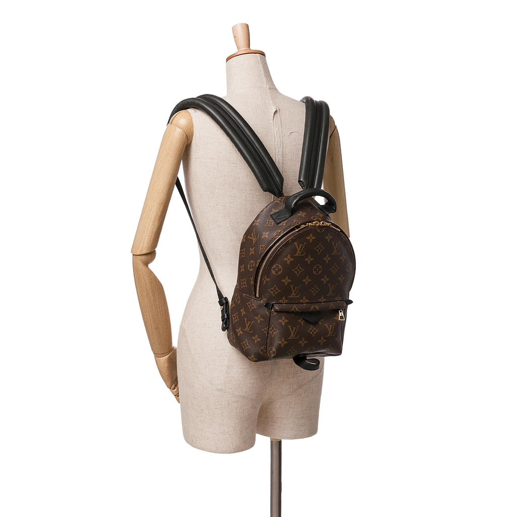 Louis Vuitton Monogram Palm Springs PM (SHG-VyZgca)