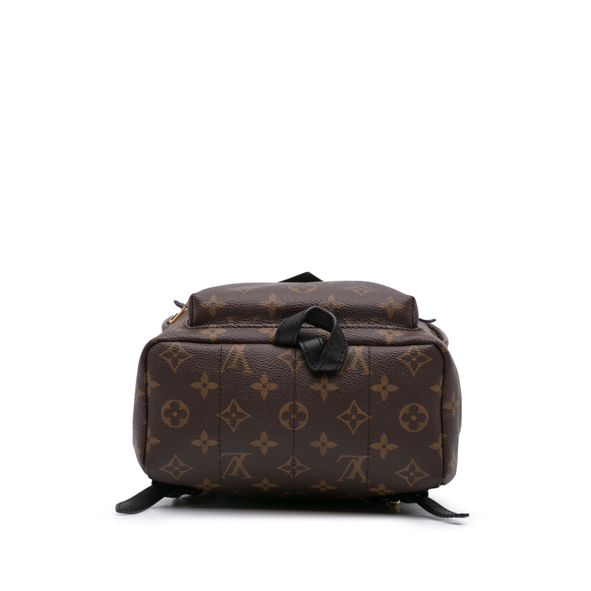 Louis Vuitton Monogram Palm Springs PM