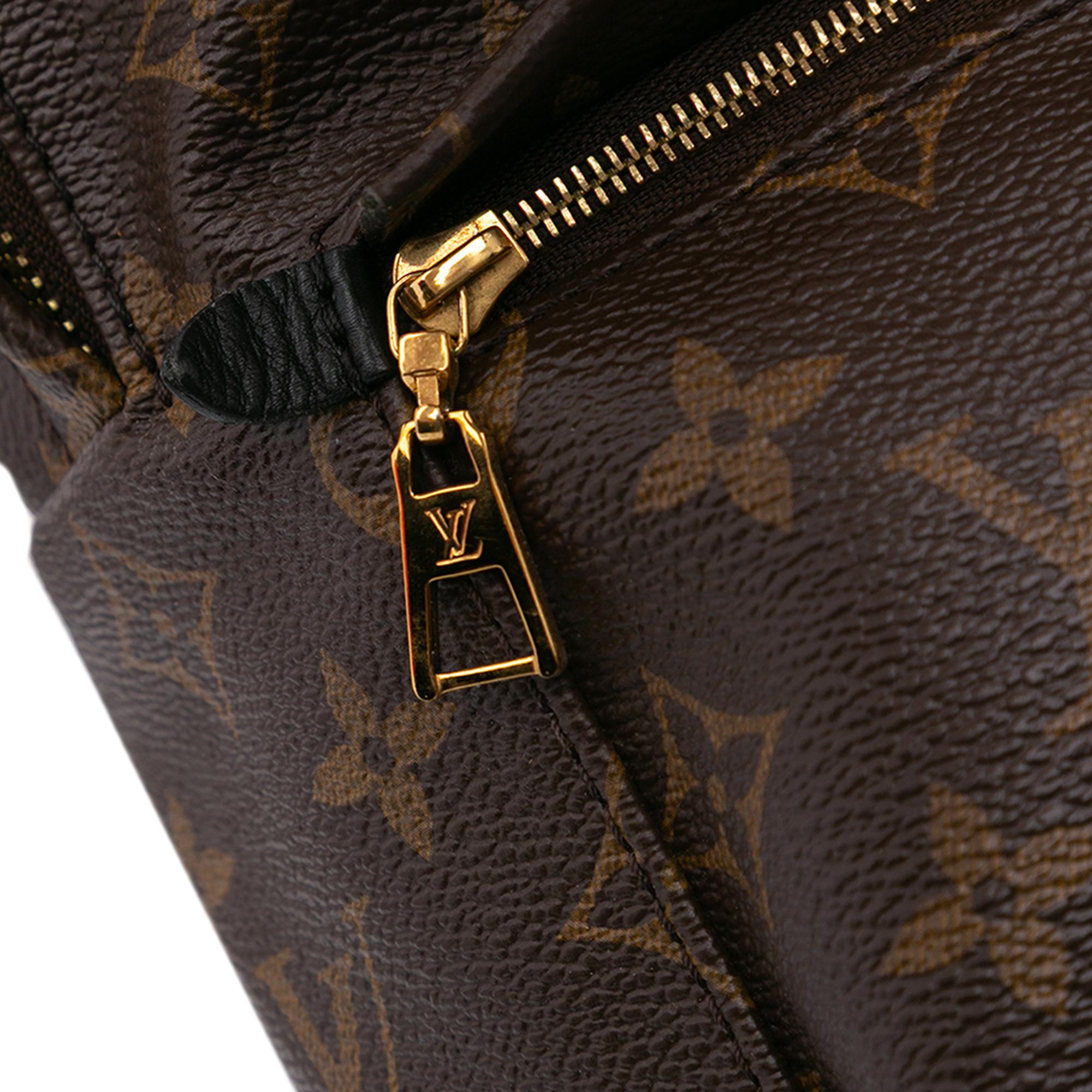 Louis Vuitton Monogram Palm Springs PM