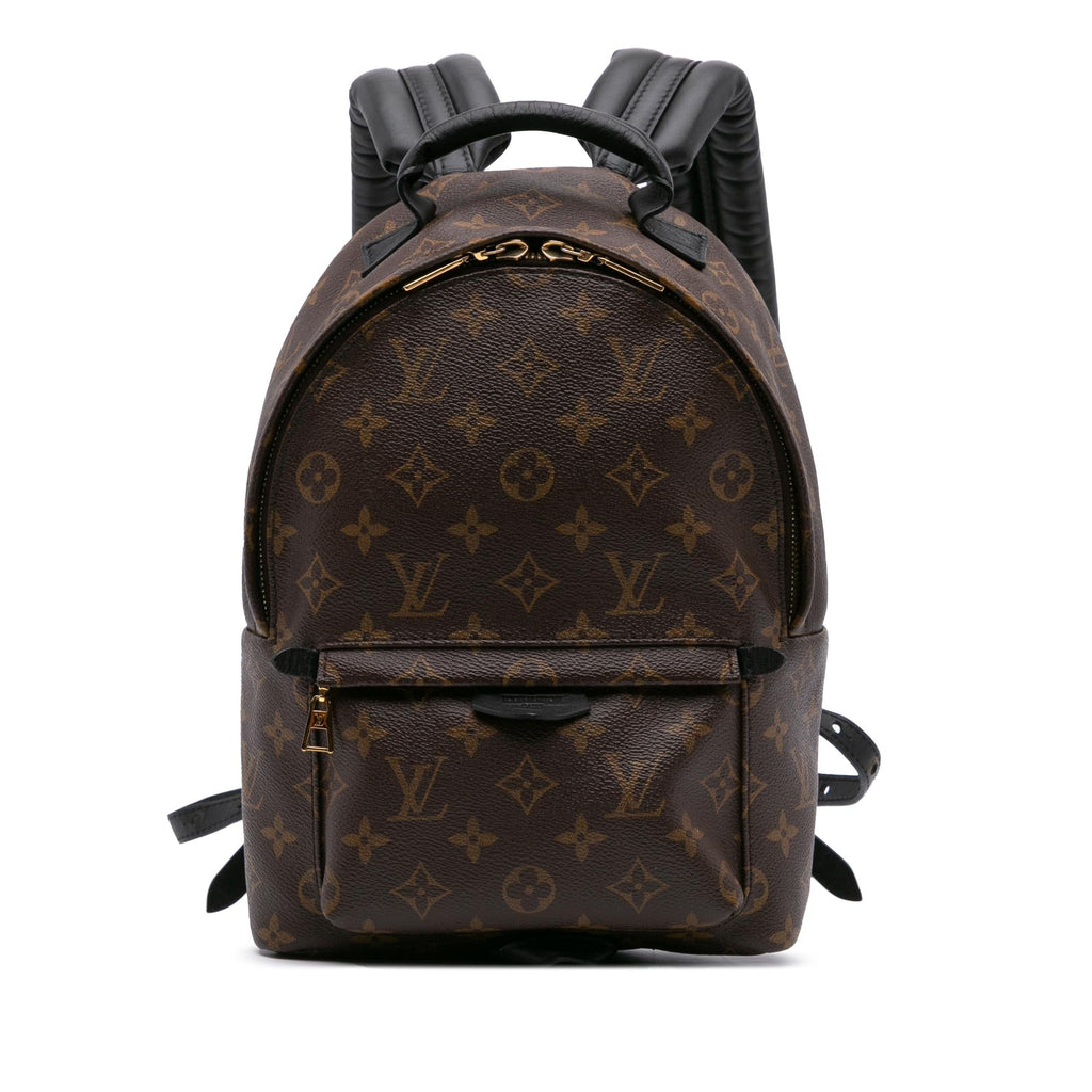 Louis Vuitton Monogram Palm Springs PM