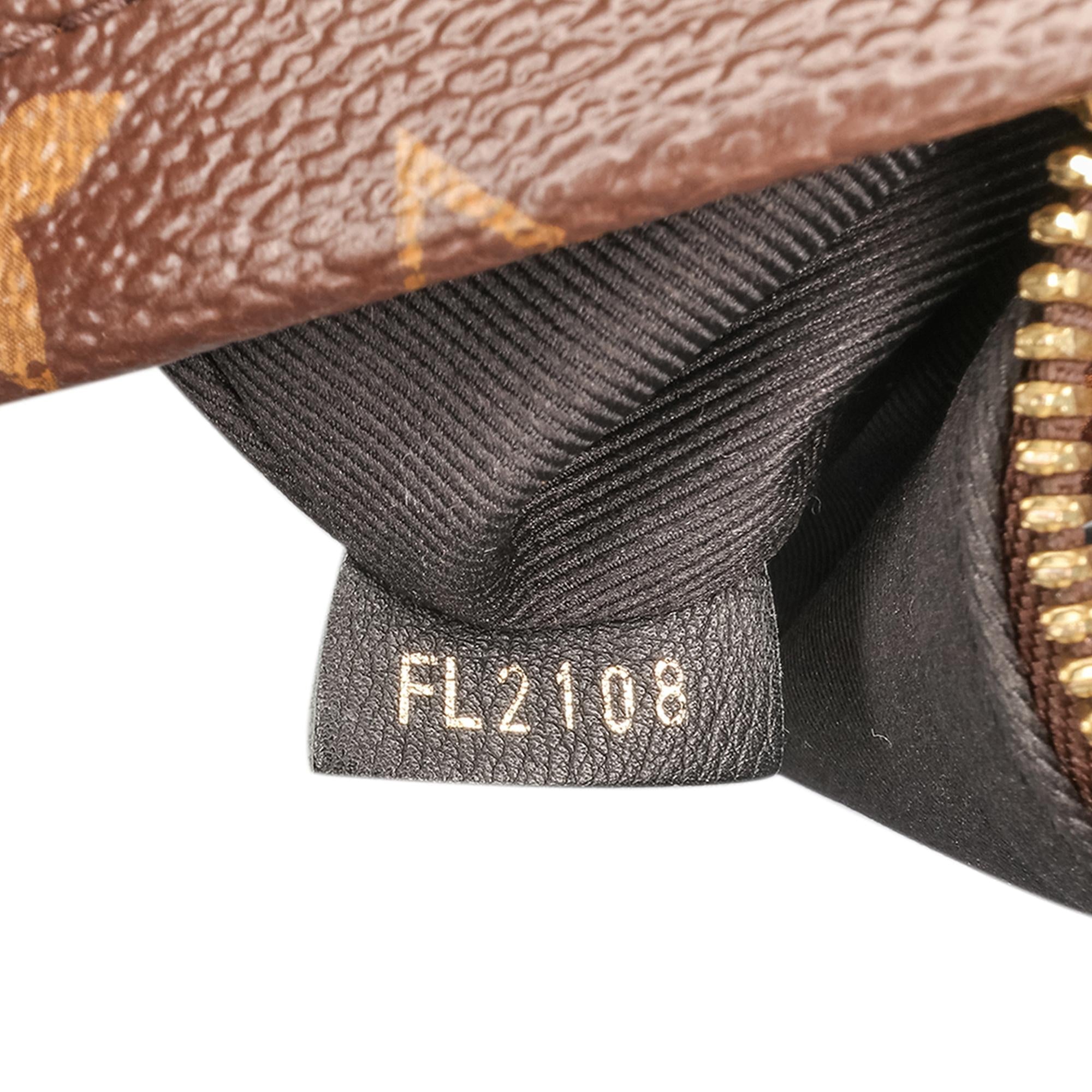 Louis Vuitton Monogram Palm Springs PM