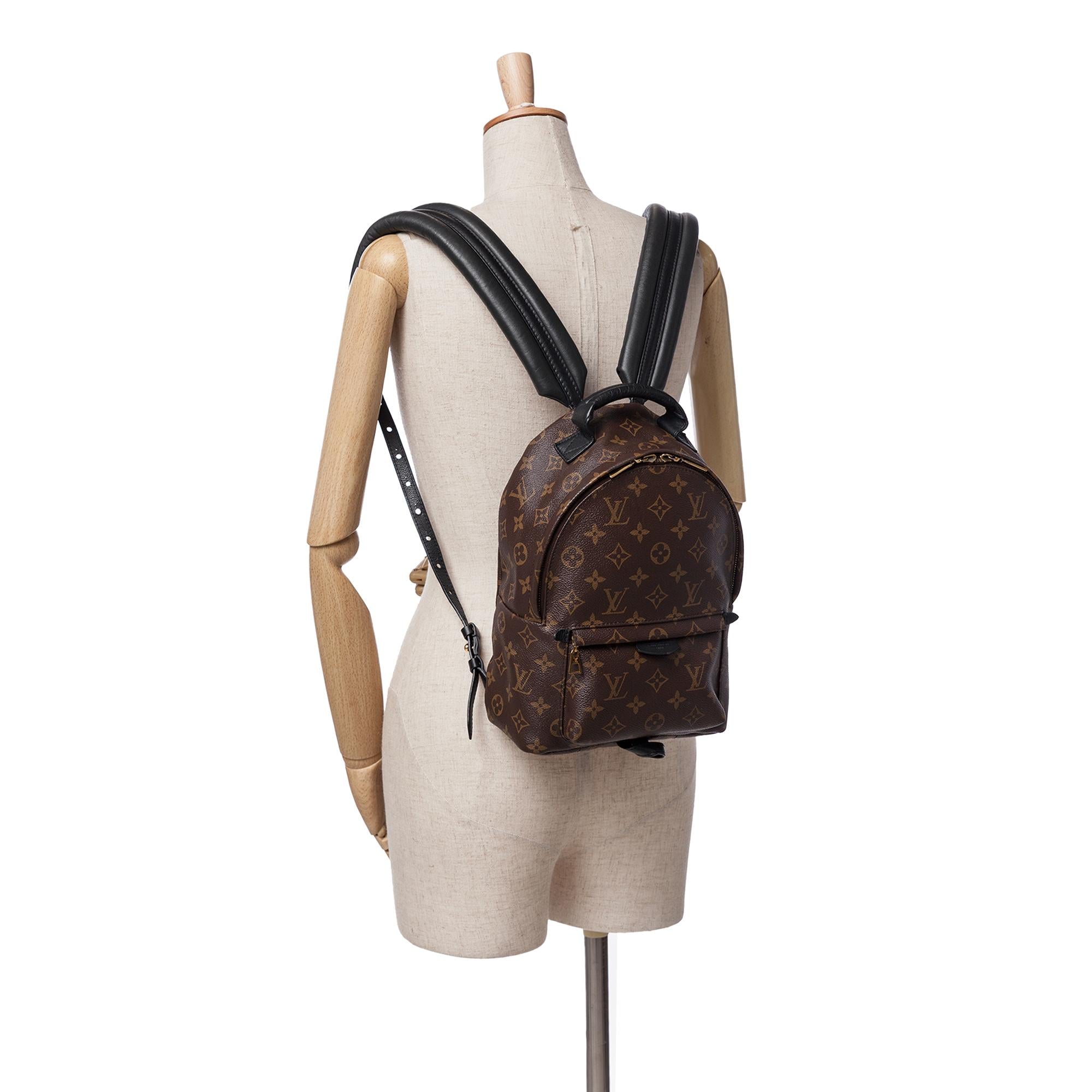 Louis Vuitton Monogram Palm Springs PM