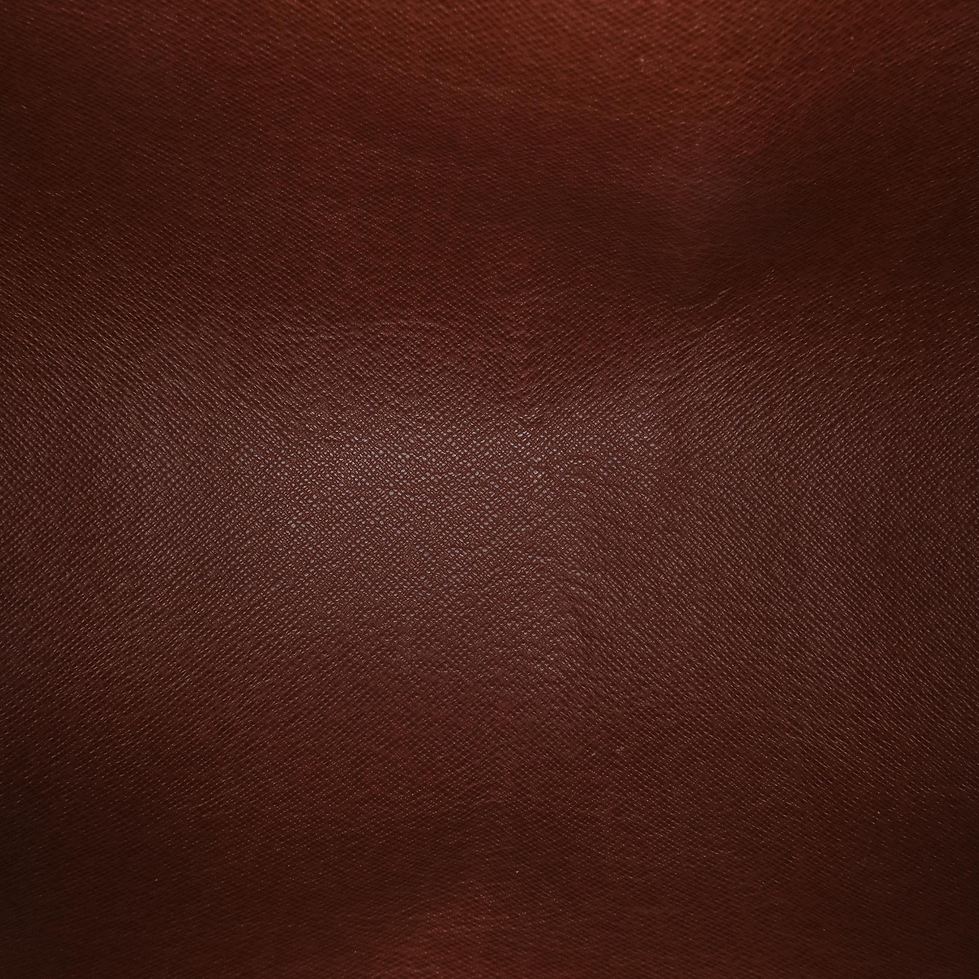 Louis Vuitton Monogram Papillon 28