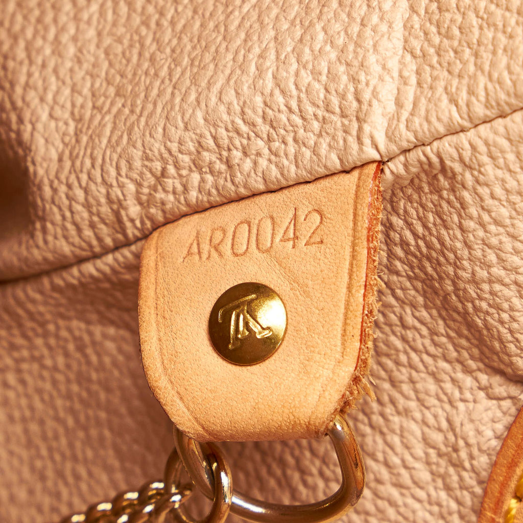Louis Vuitton Monogram Petit Bucket (SHG-29772)