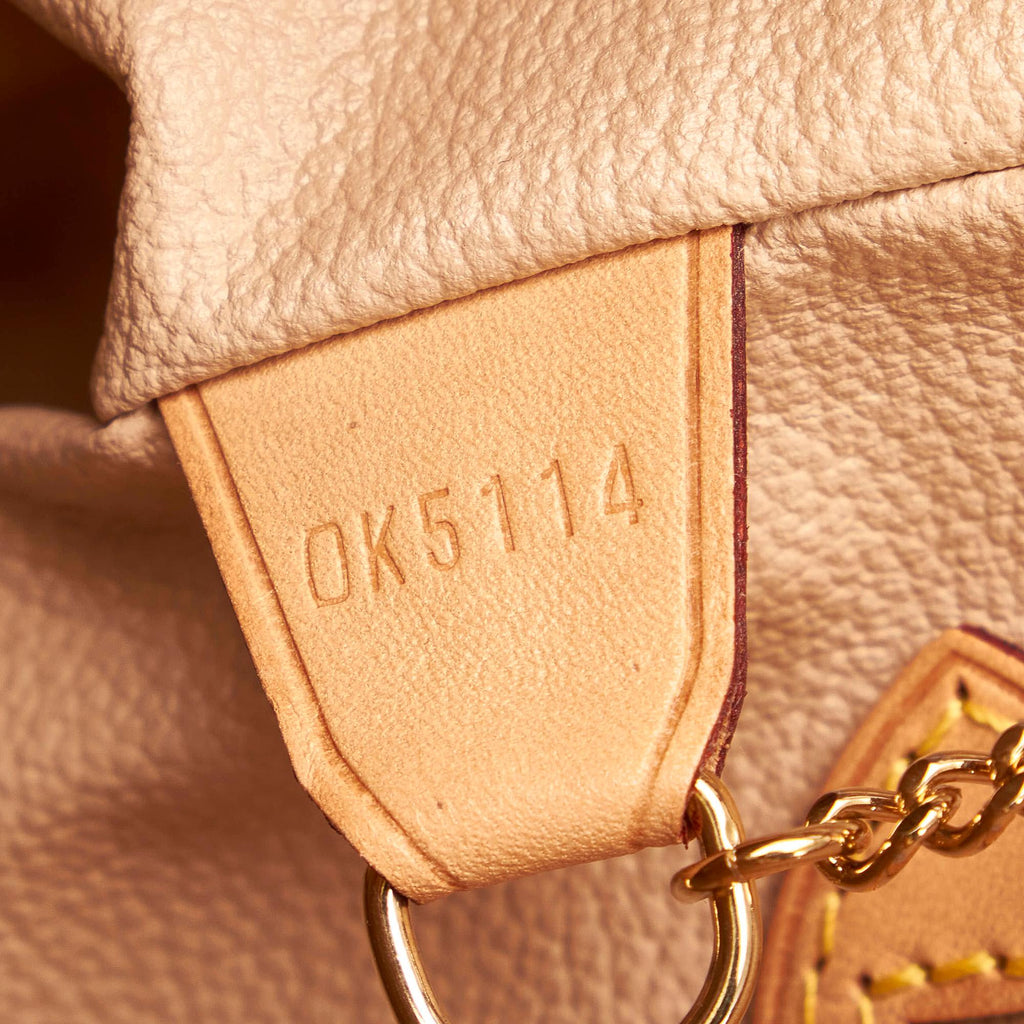 Louis Vuitton Monogram Petit Bucket (SHG-29824)
