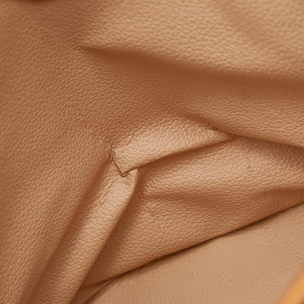 Louis Vuitton Monogram Petit Bucket (SHG-v6zZ4e)