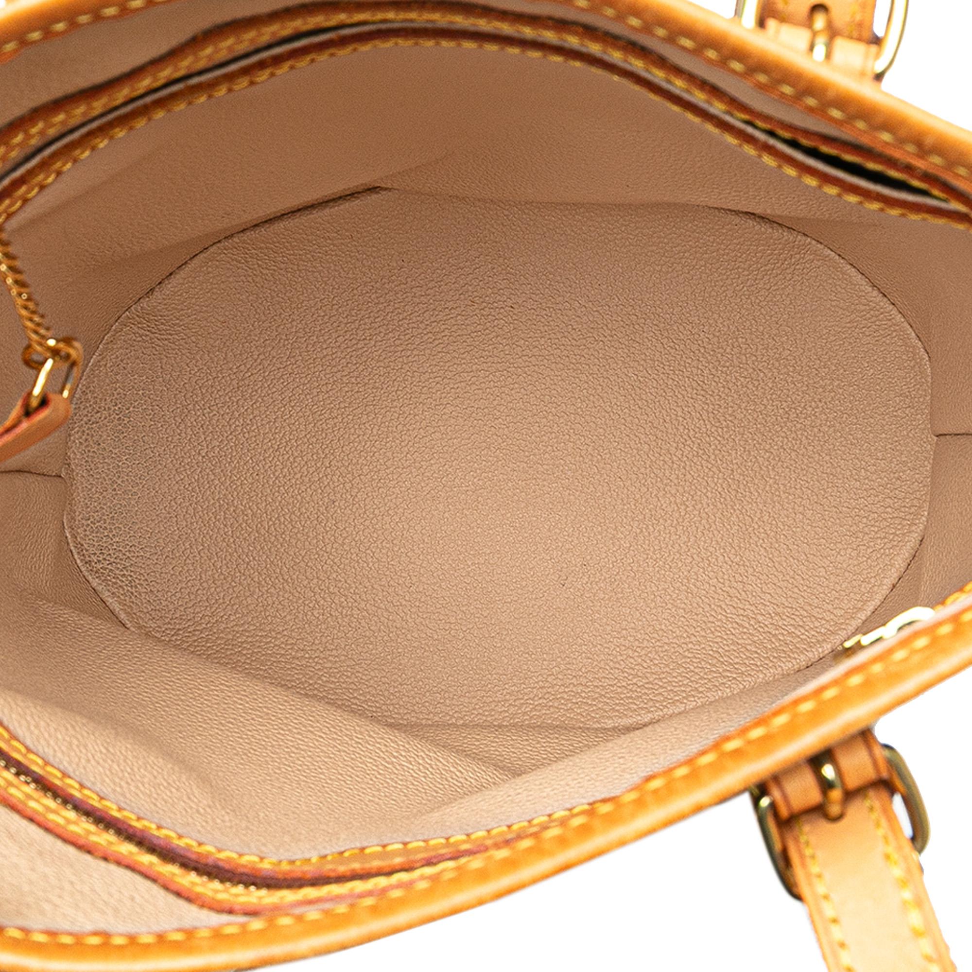 Louis Vuitton Monogram Petit Bucket