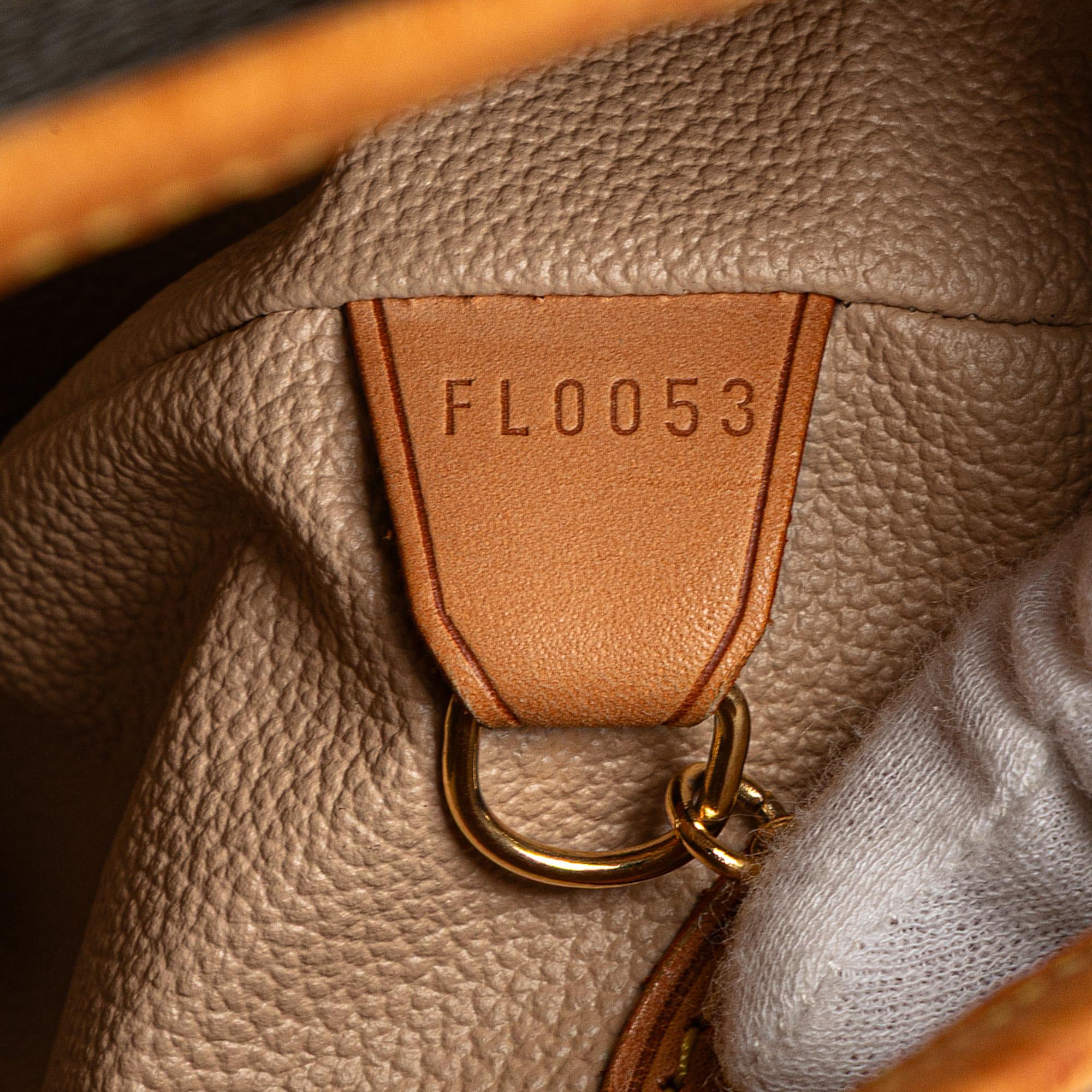 Louis Vuitton Monogram Petit Bucket