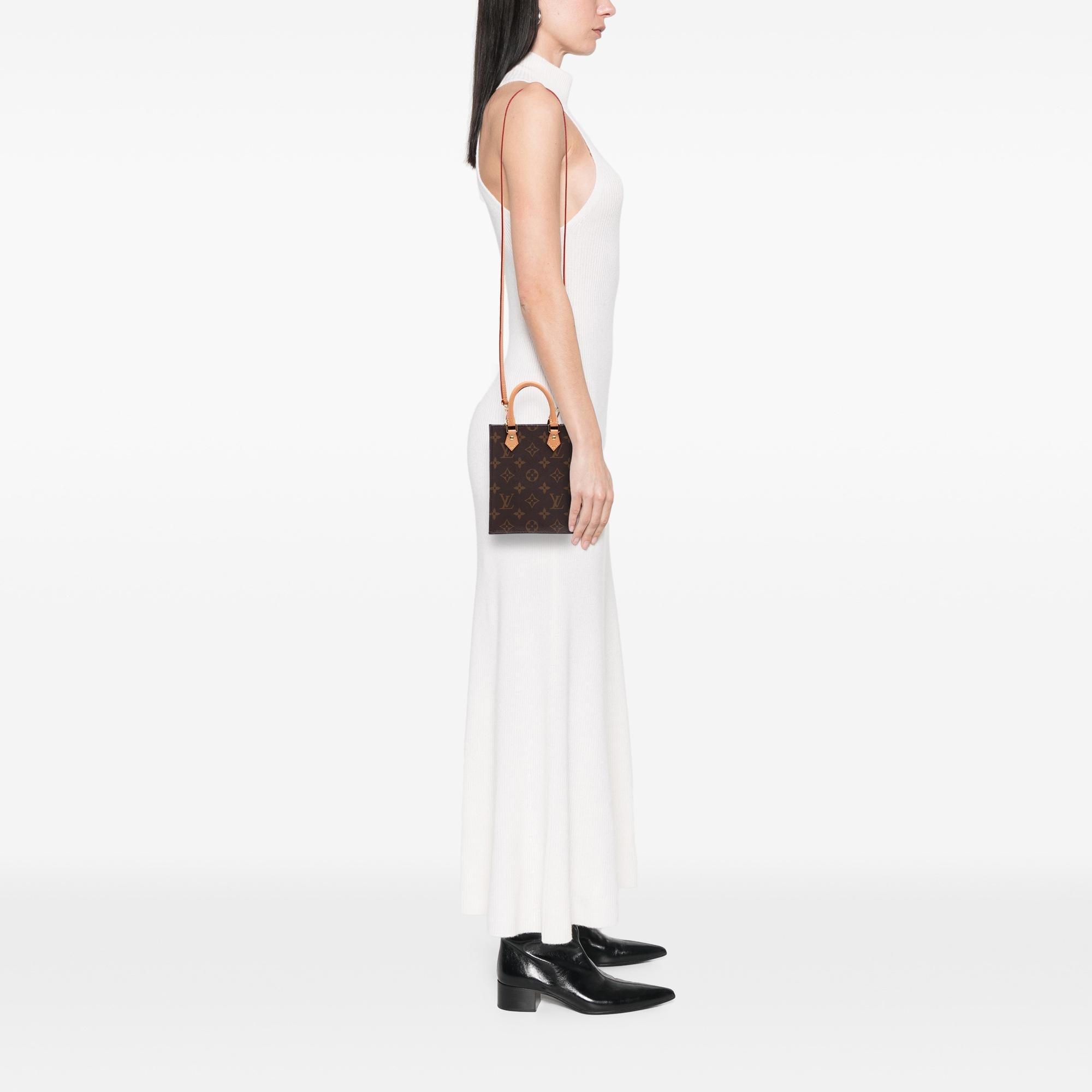 Louis Vuitton Monogram Petit Sac Plat