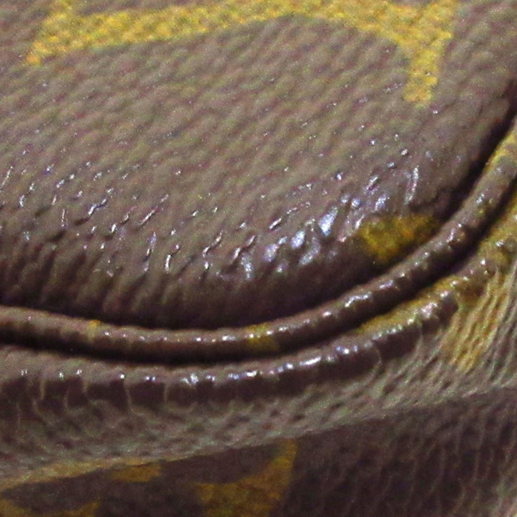 Louis Vuitton Monogram Pochette Accessoires (SHG-36264)