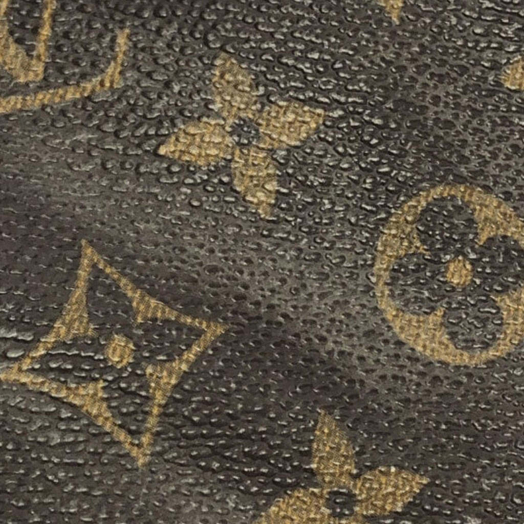 Louis Vuitton Monogram Pochette Accessoires (SHG-zg231f)