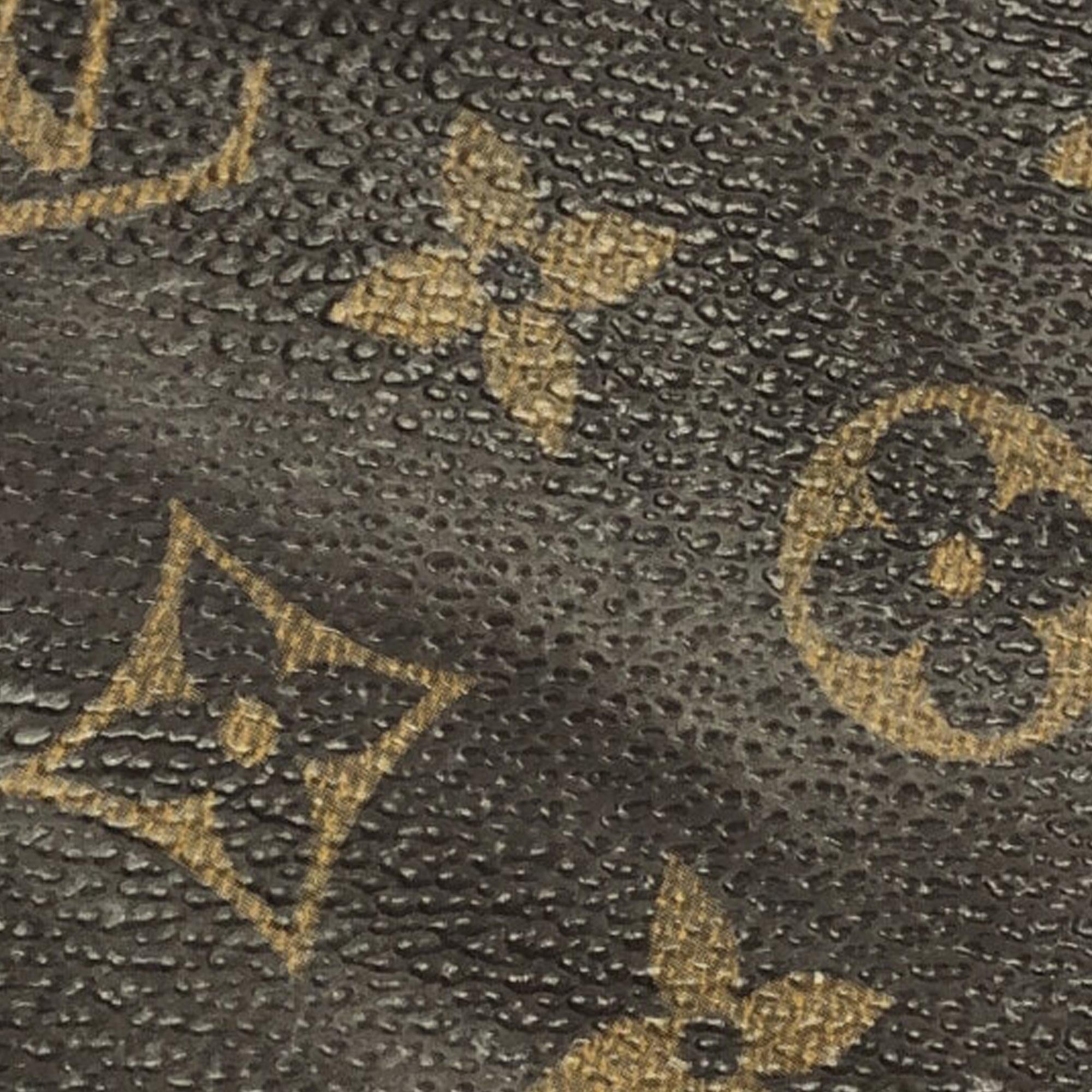 Louis Vuitton Monogram Pochette Accessoires (SHG-zg231f)