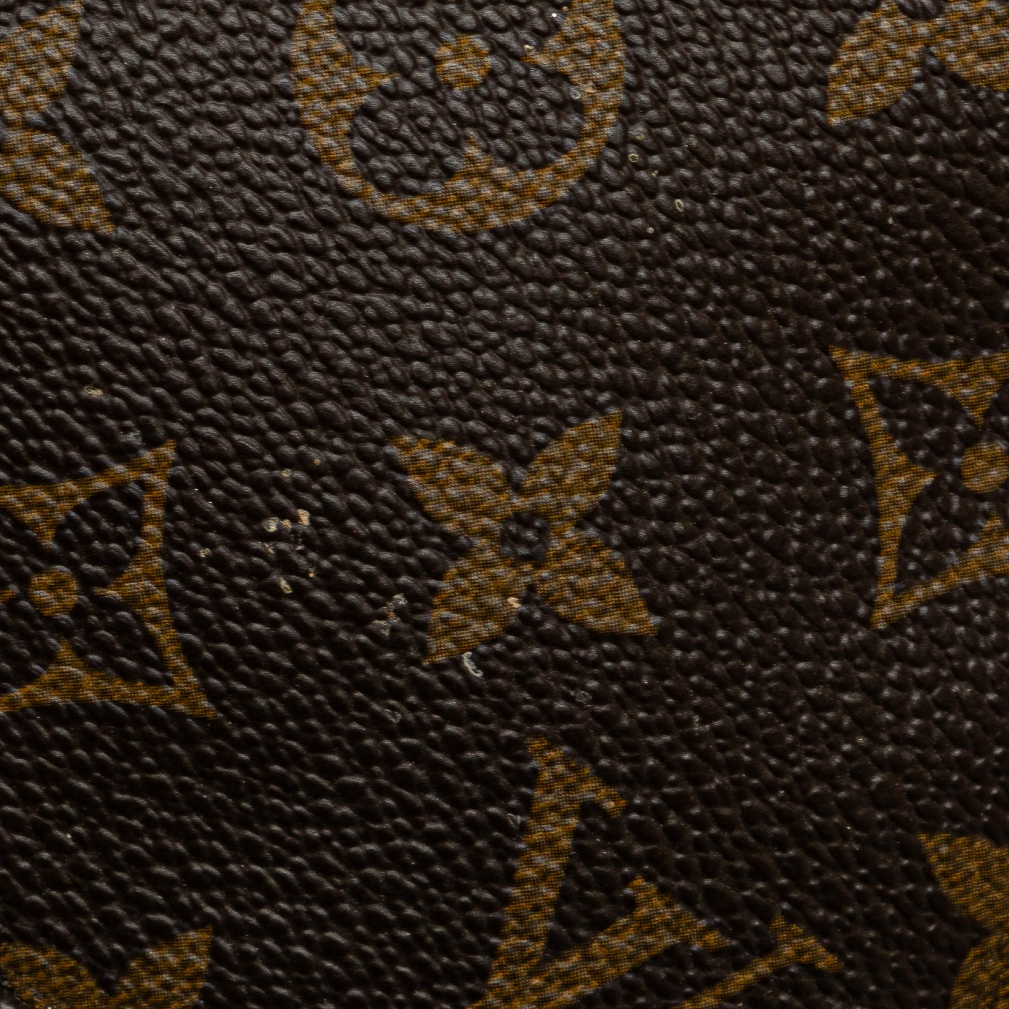 Louis Vuitton Monogram Pochette Accessoires (SHG-s6iDJI)