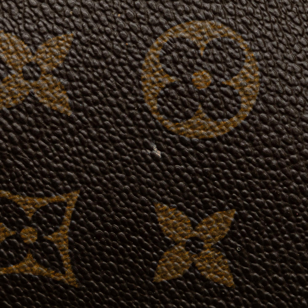Louis Vuitton Monogram Pochette Accessoires (SHG-s6iDJI)