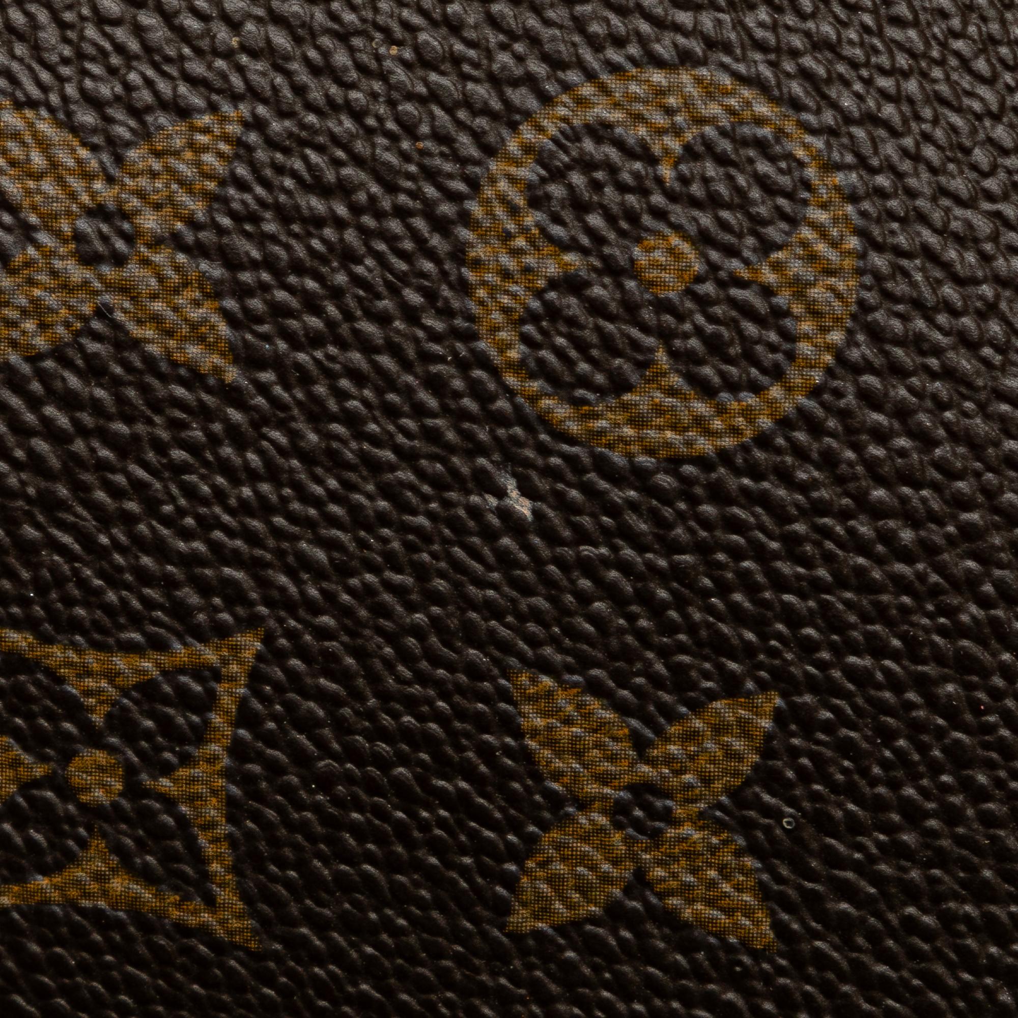 Louis Vuitton Monogram Pochette Accessoires (SHG-s6iDJI)