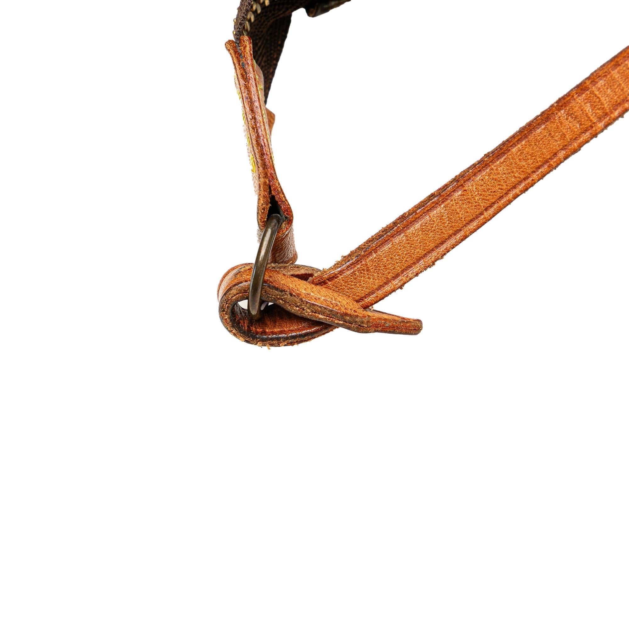Louis Vuitton Monogram Pochette Accessoires (SHG-1clyEW)