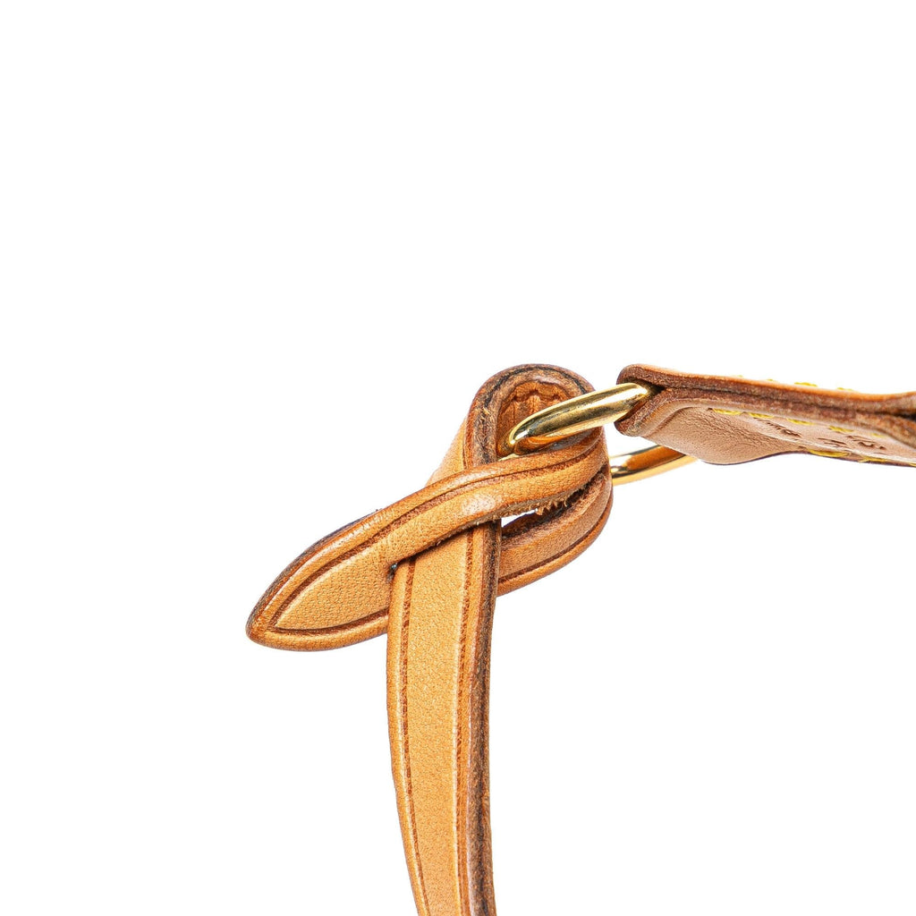 Louis Vuitton Monogram Pochette Accessoires (SHG-dJsVrK)