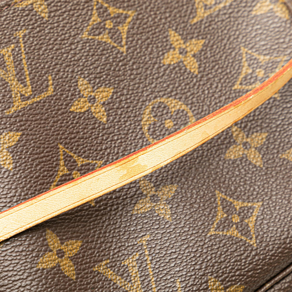 Louis Vuitton Monogram Pochette Accessoires (SHG-S6Y0Qu)
