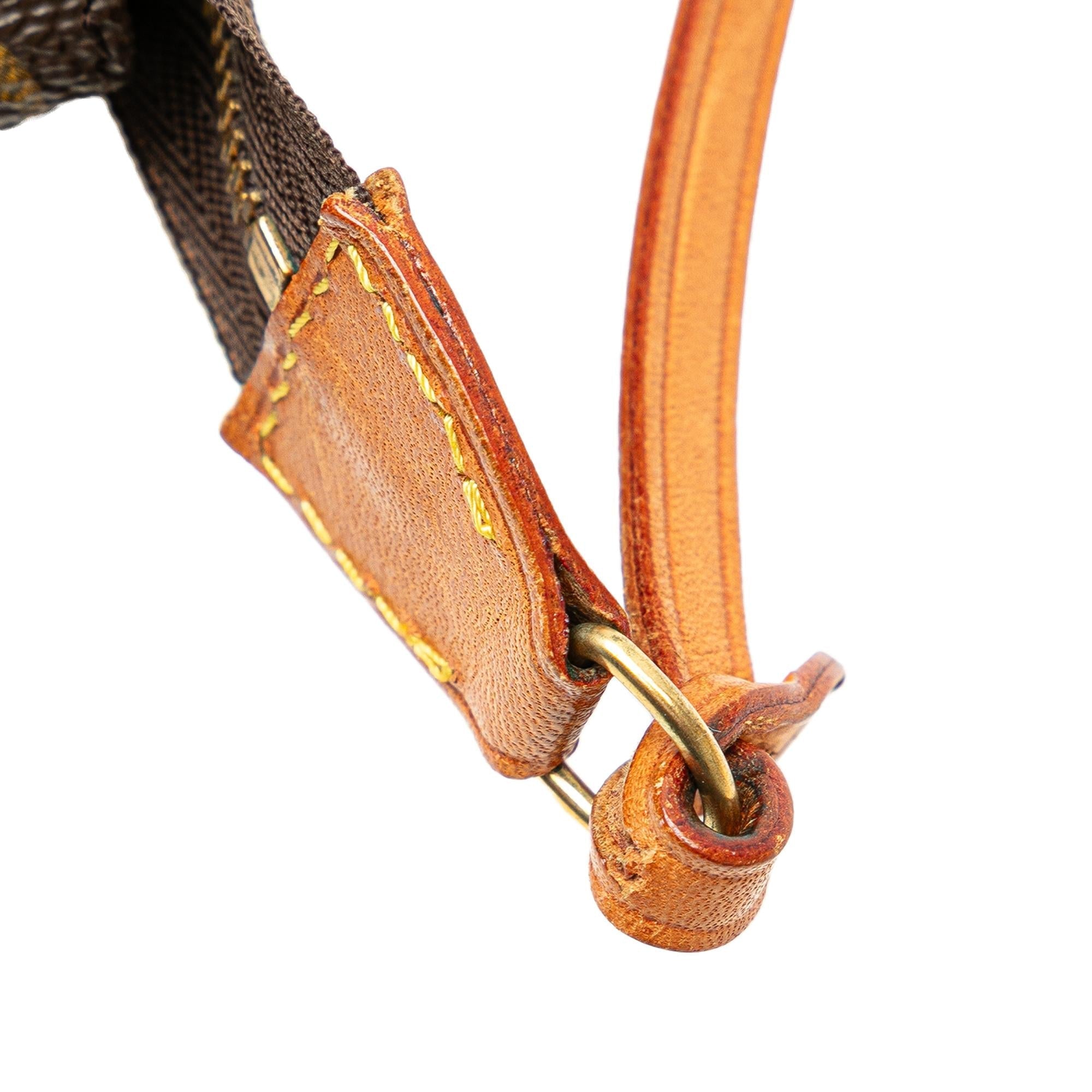Louis Vuitton Monogram Pochette Accessoires (SHG-e3hc5M)