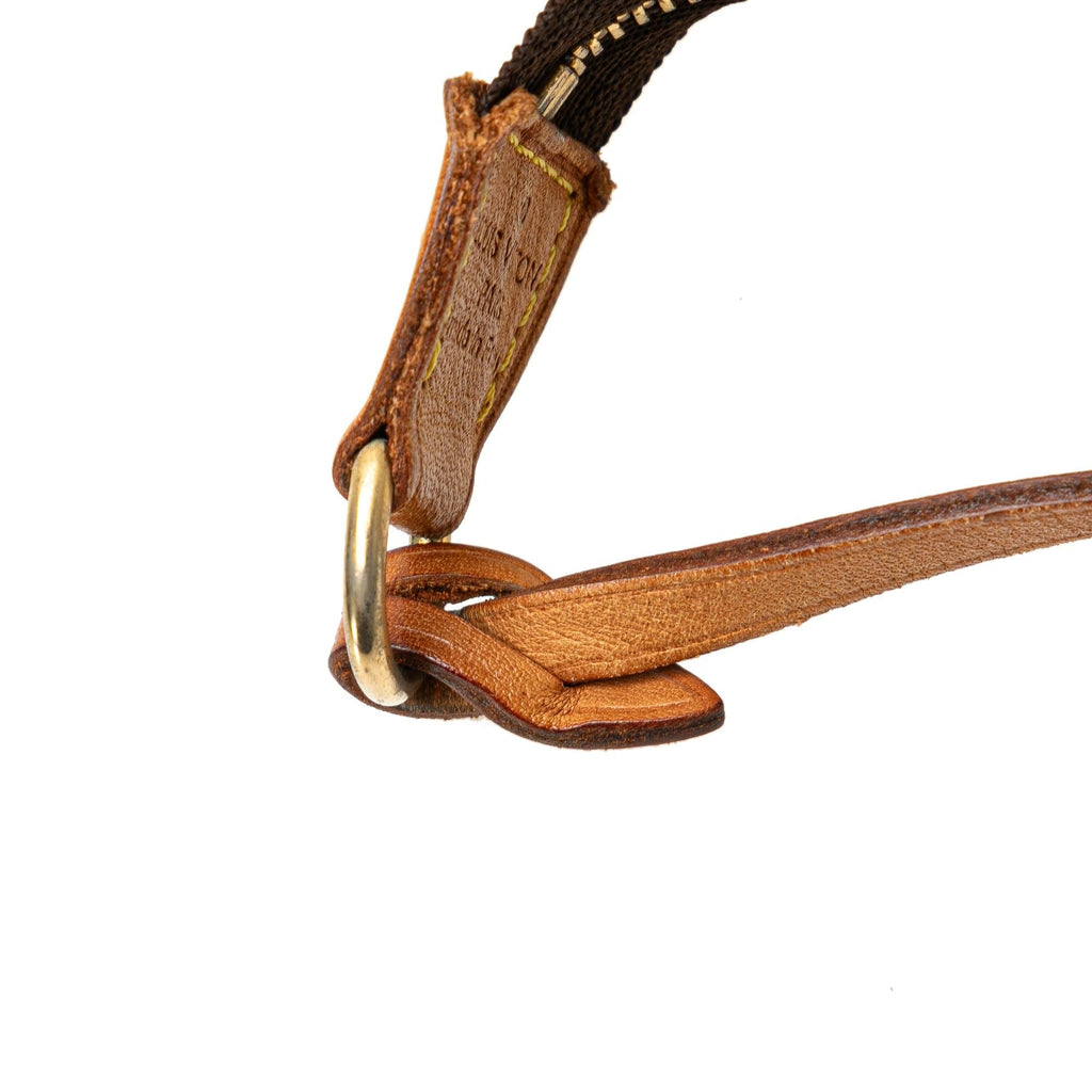 Louis Vuitton Monogram Pochette Accessoires (SHG-C6Azf7)