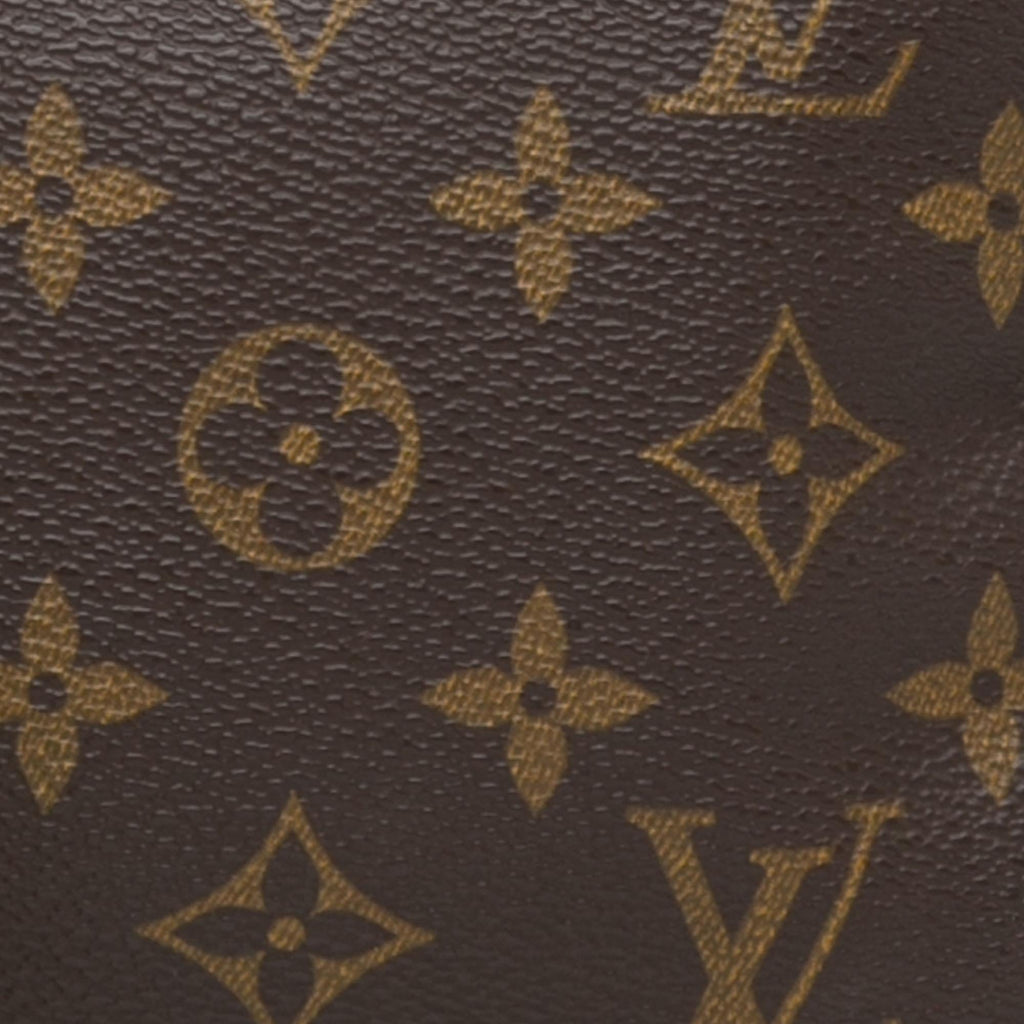 Louis Vuitton Monogram Pochette Accessoires